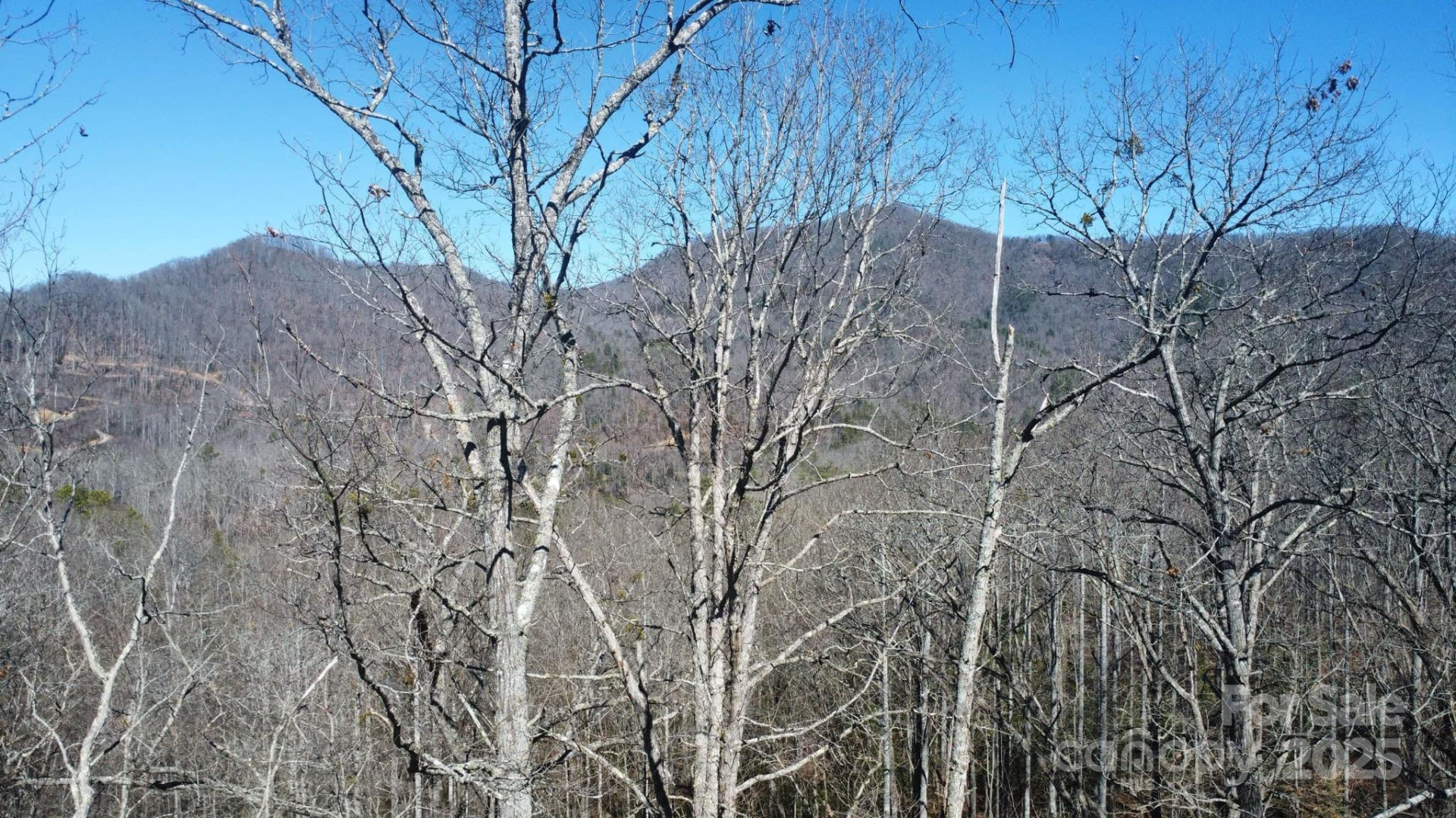 000 Hornet Drive - Photo 4