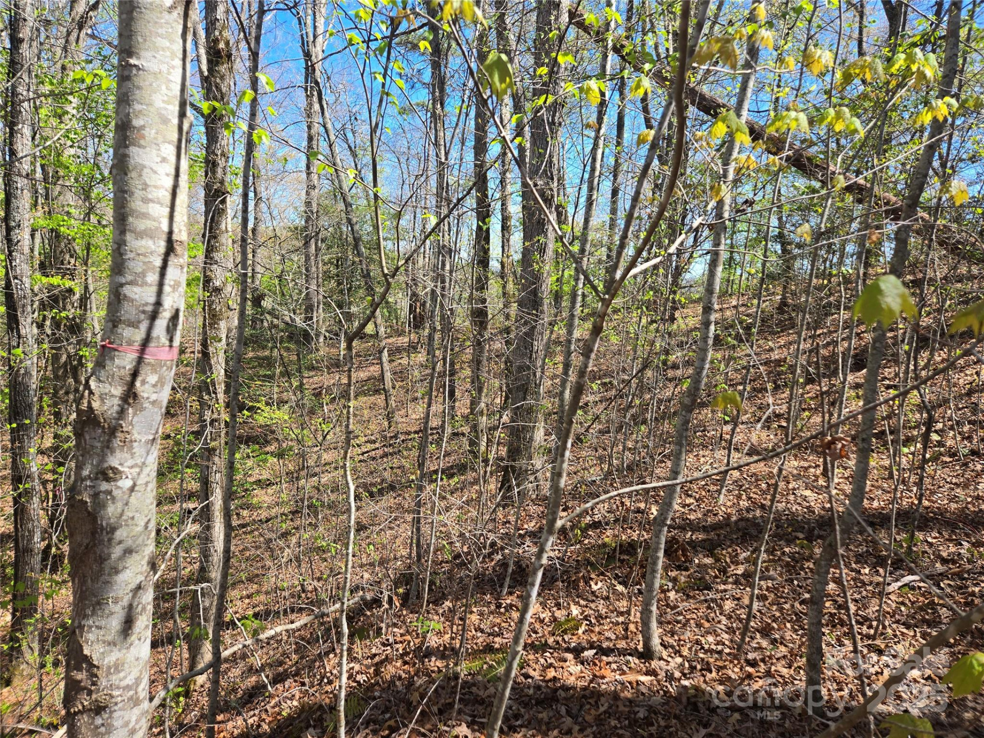 000 Hornet Drive - Photo 5