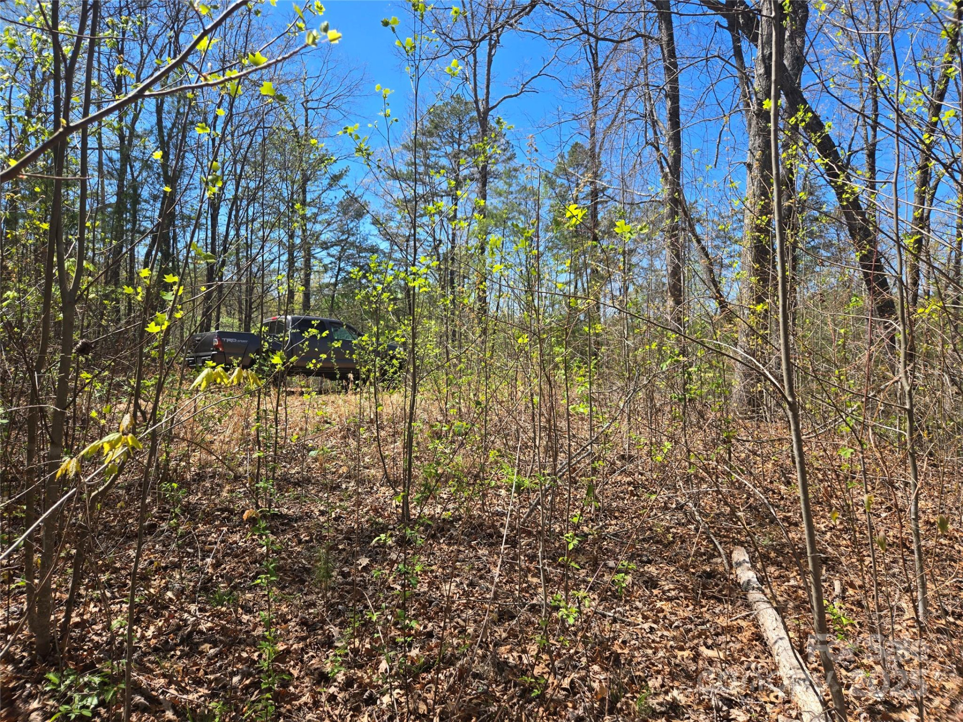 000 Hornet Drive - Photo 6