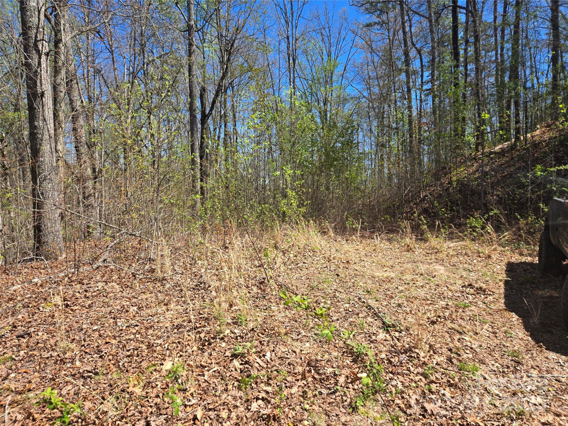 000 Hornet Drive - Photo 9