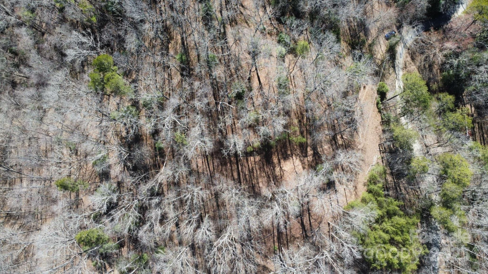 000 Hornet Drive - Photo 10