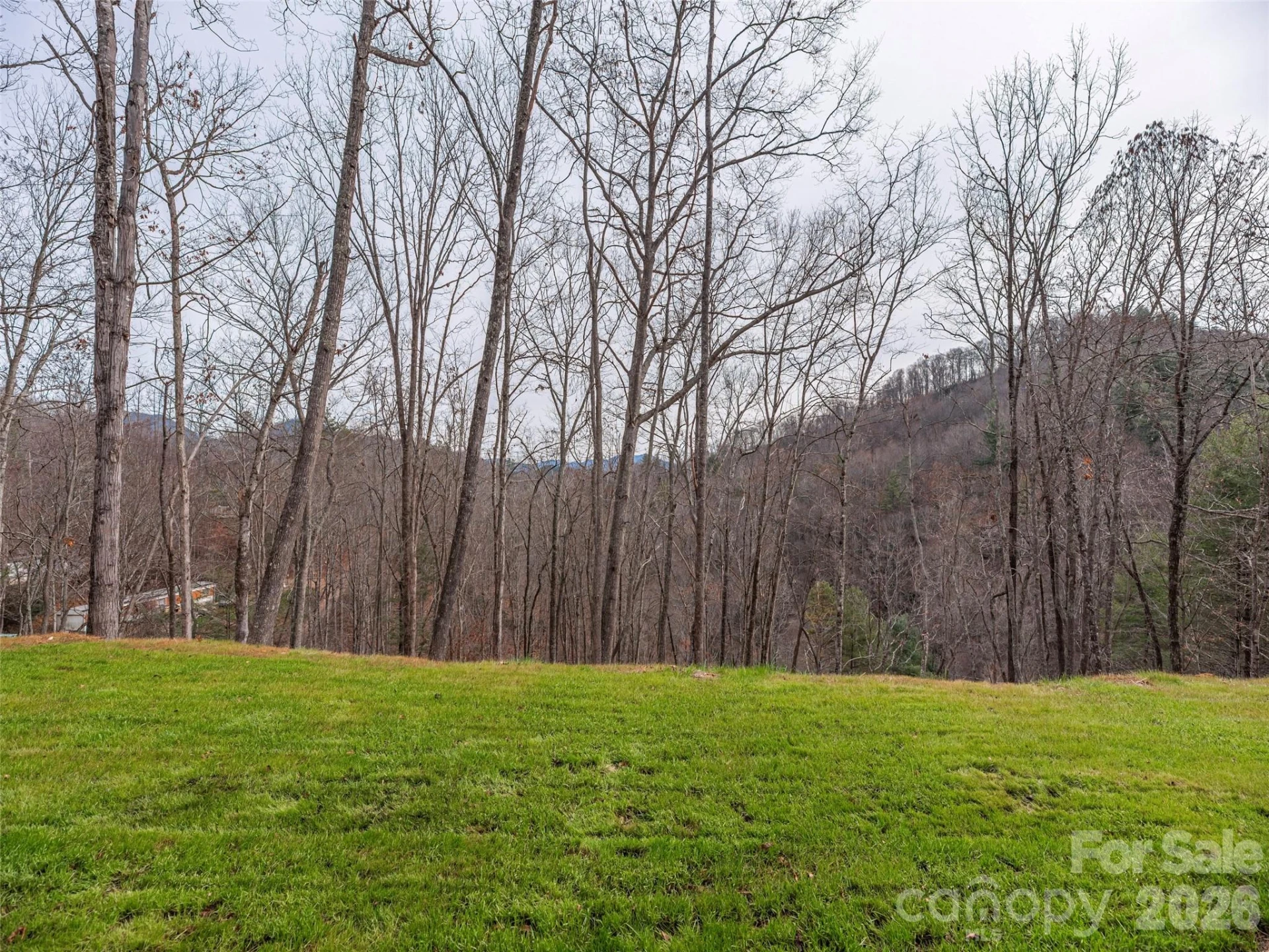 55 Dean Riddle Drive - Photo 32