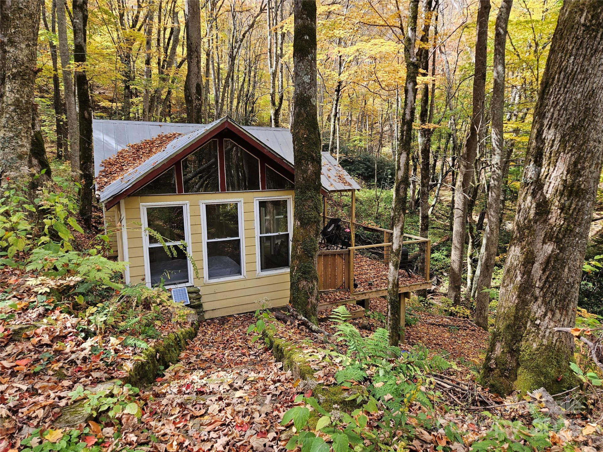 25 Hollow Log Road - Photo 12