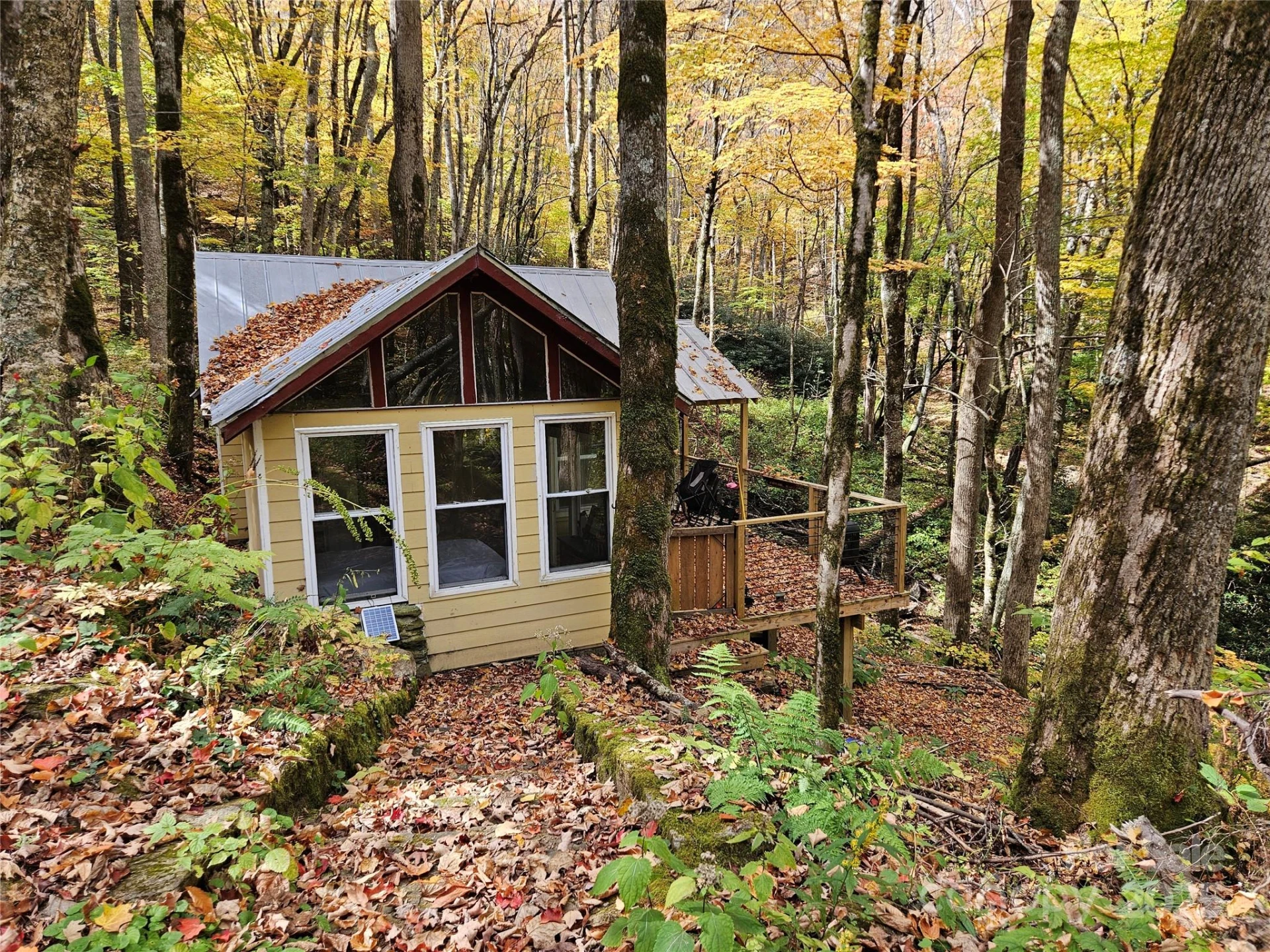25 Hollow Log Road - Photo 12