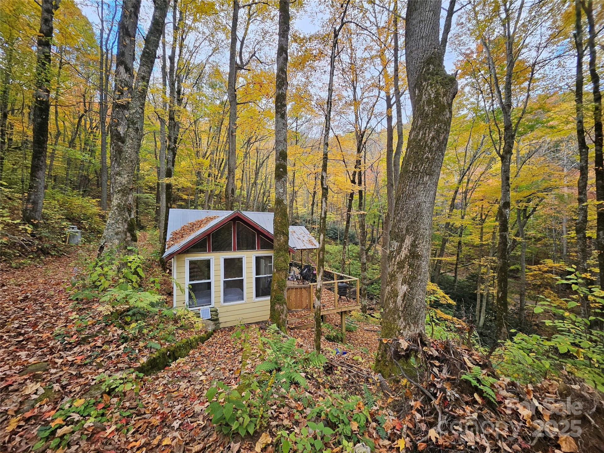 25 Hollow Log Road - Photo 14