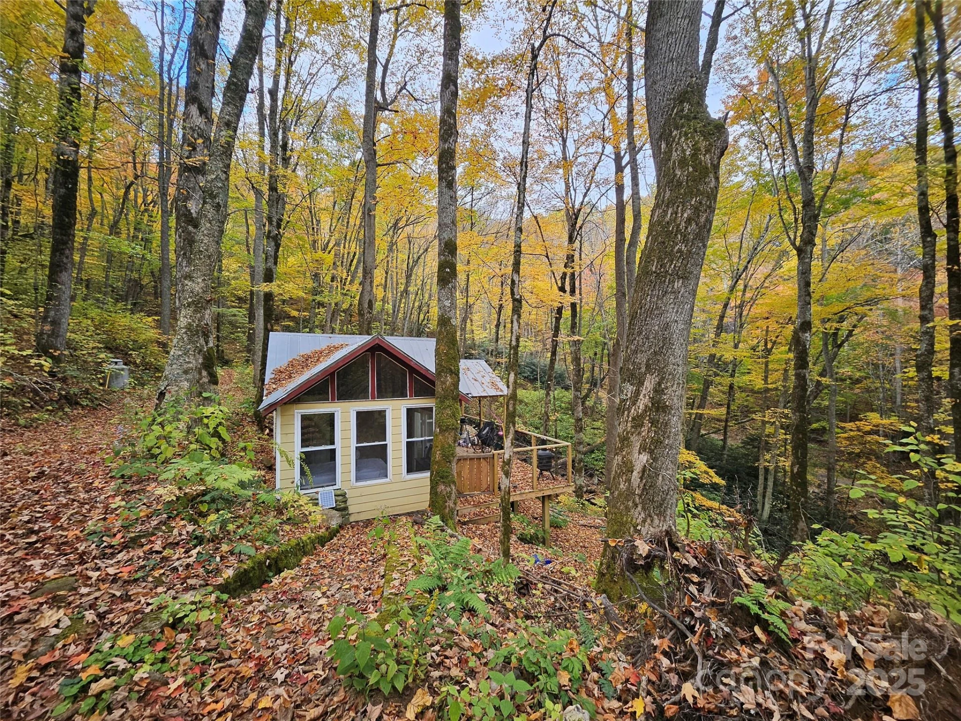 25 Hollow Log Road - Photo 14