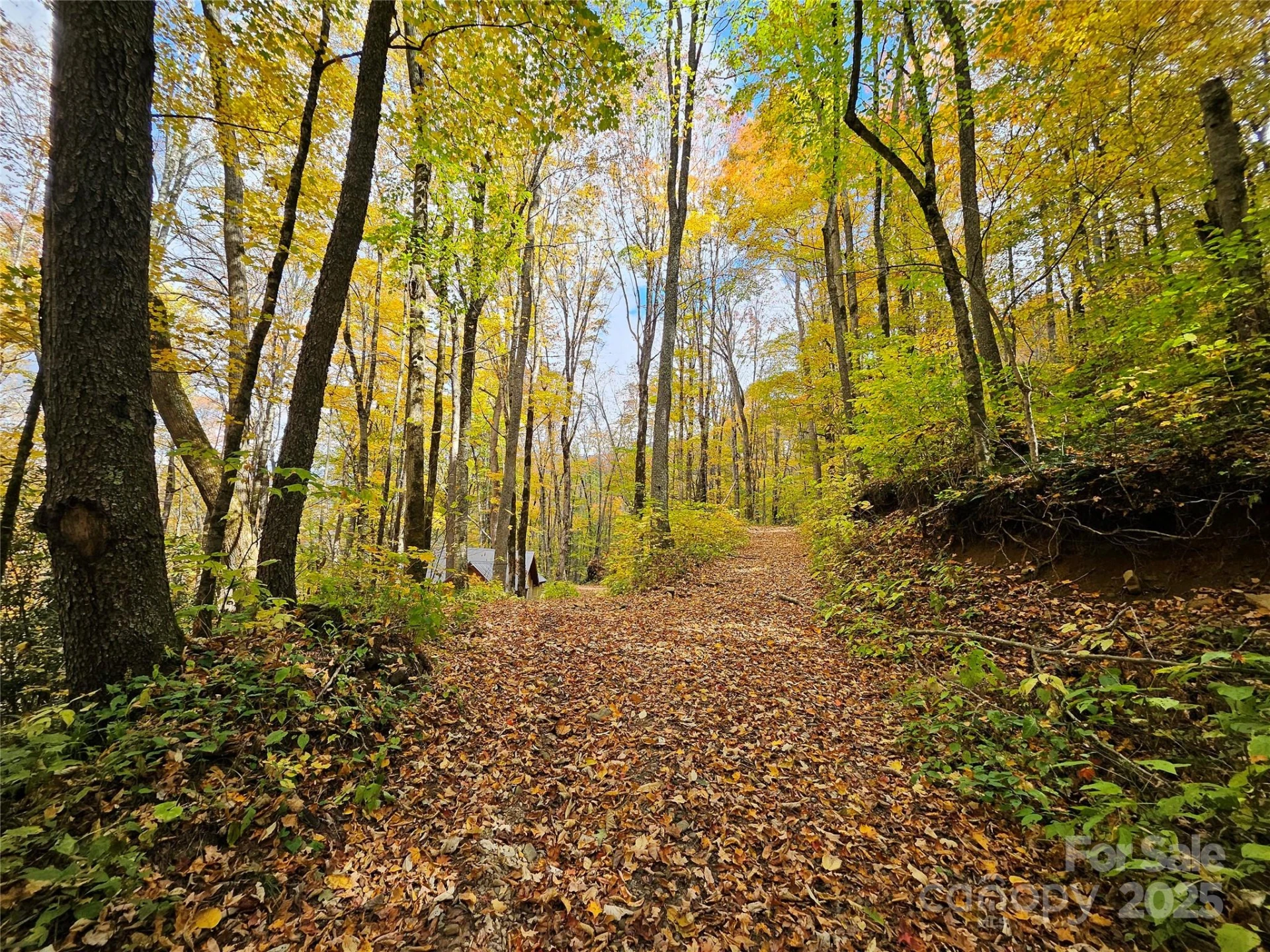 25 Hollow Log Road - Photo 3