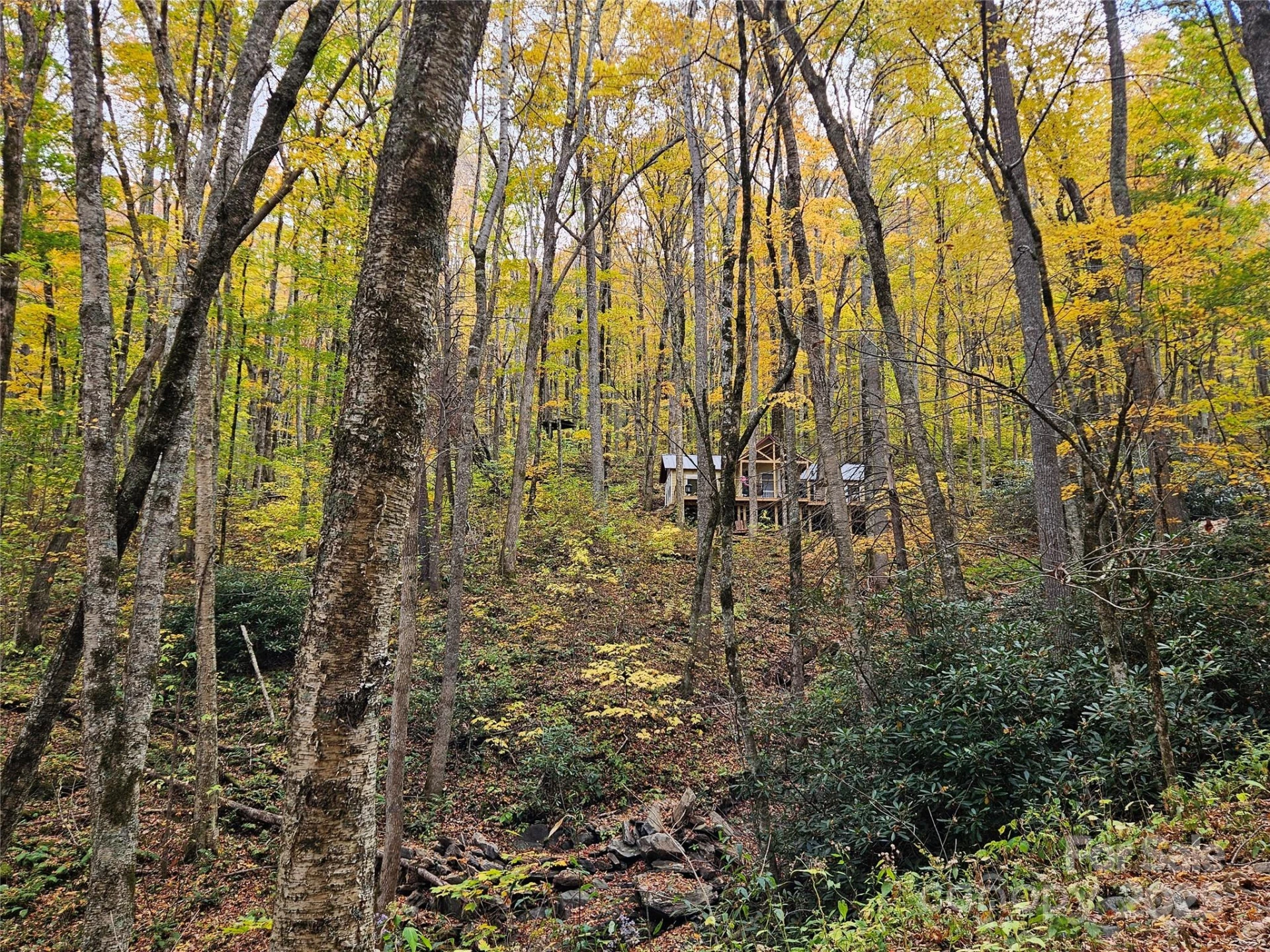 25 Hollow Log Road - Photo 30