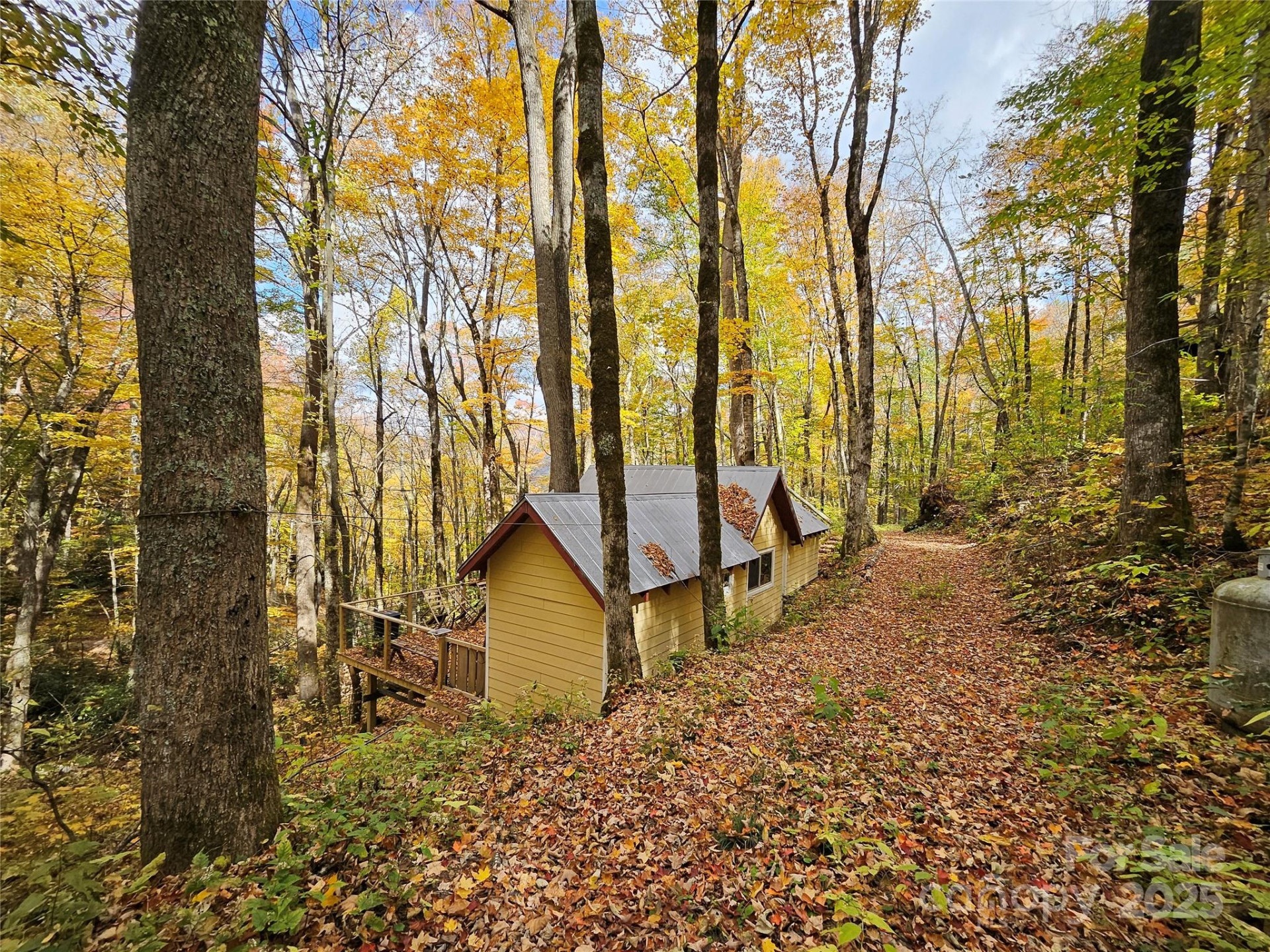 25 Hollow Log Road - Photo 4