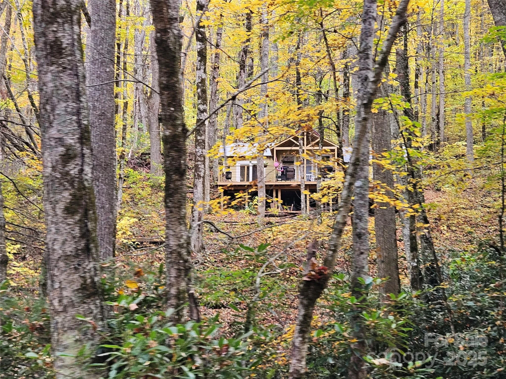 25 Hollow Log Road - Photo 31