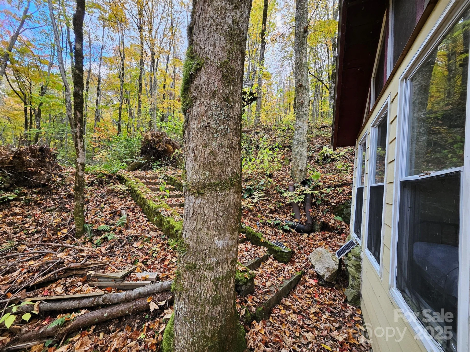 25 Hollow Log Road - Photo 32