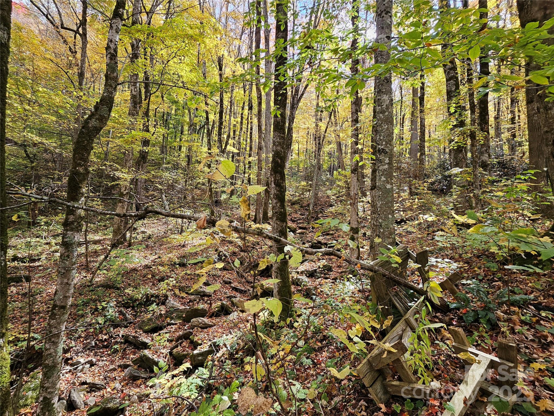 25 Hollow Log Road - Photo 33