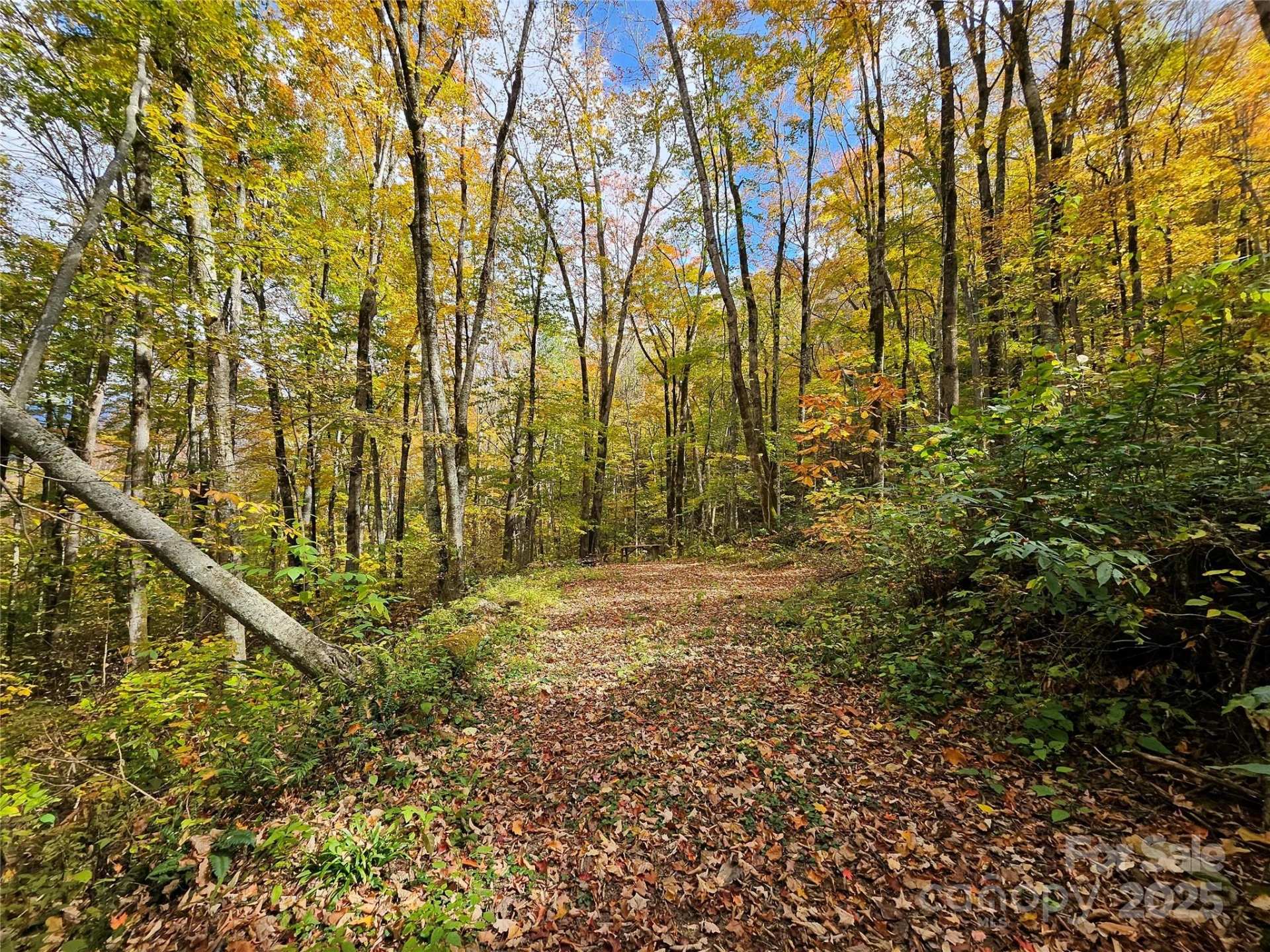 25 Hollow Log Road - Photo 34