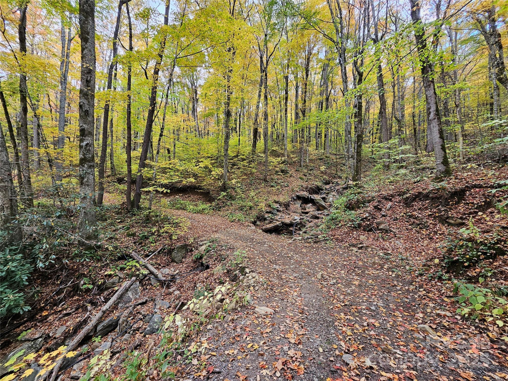 25 Hollow Log Road - Photo 35