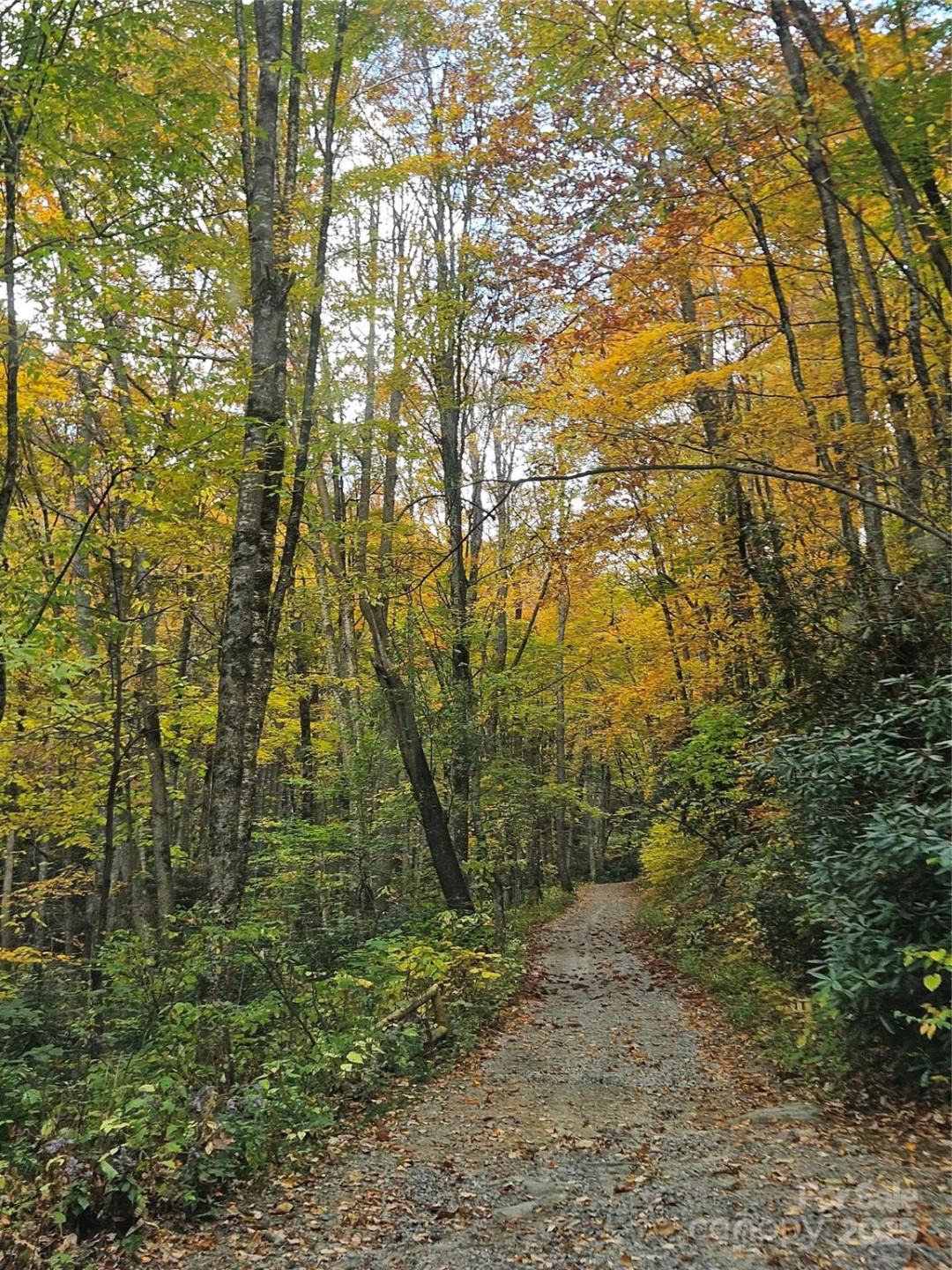 25 Hollow Log Road - Photo 36