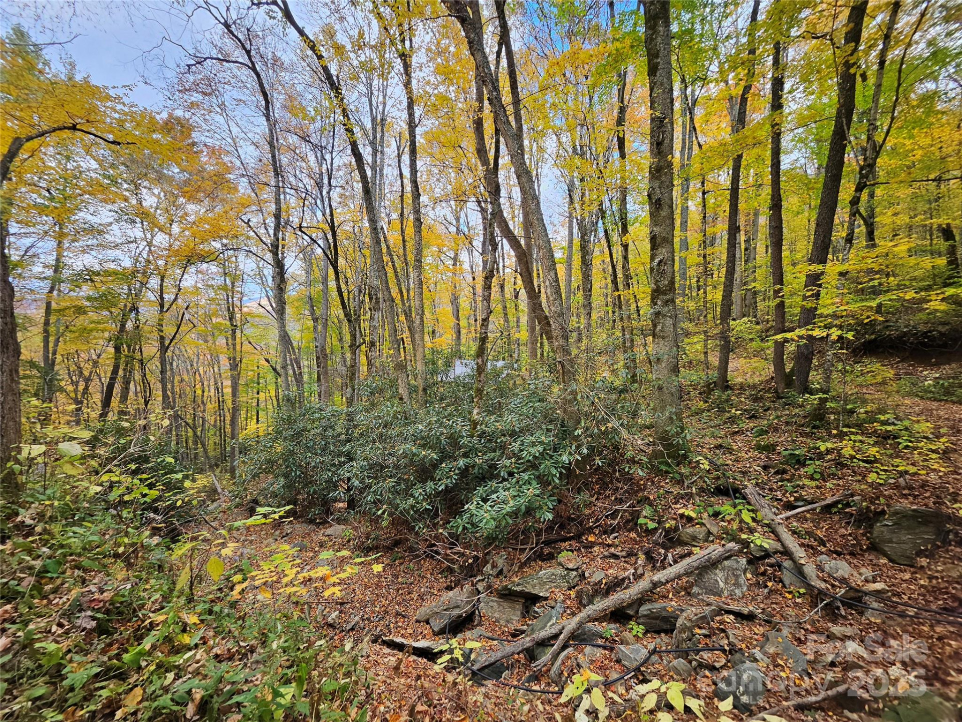 25 Hollow Log Road - Photo 37