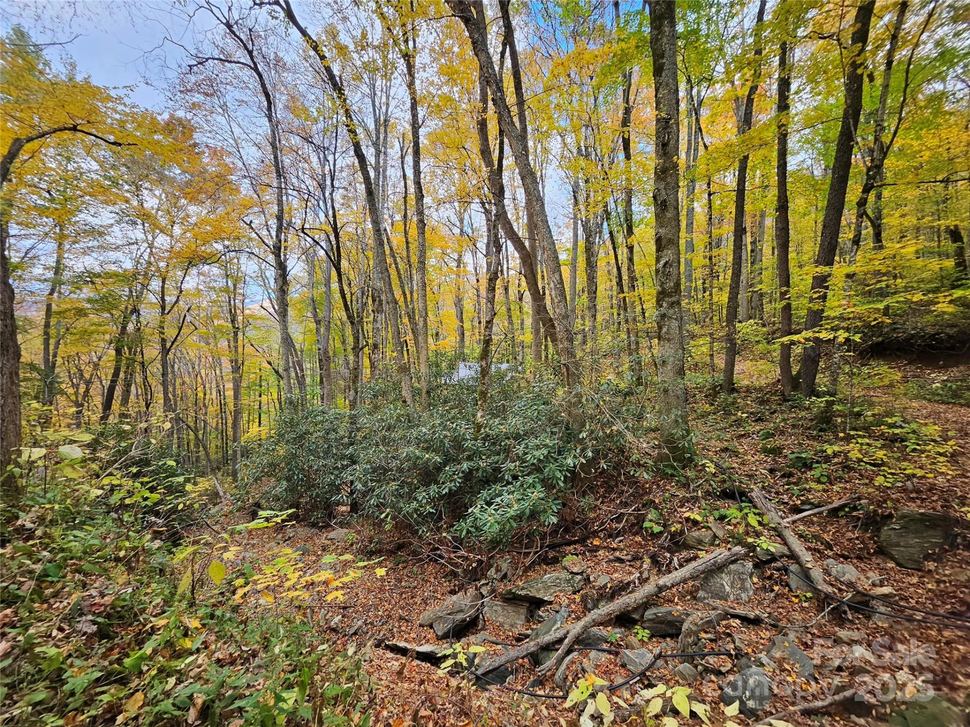 25 Hollow Log Road - Photo 37