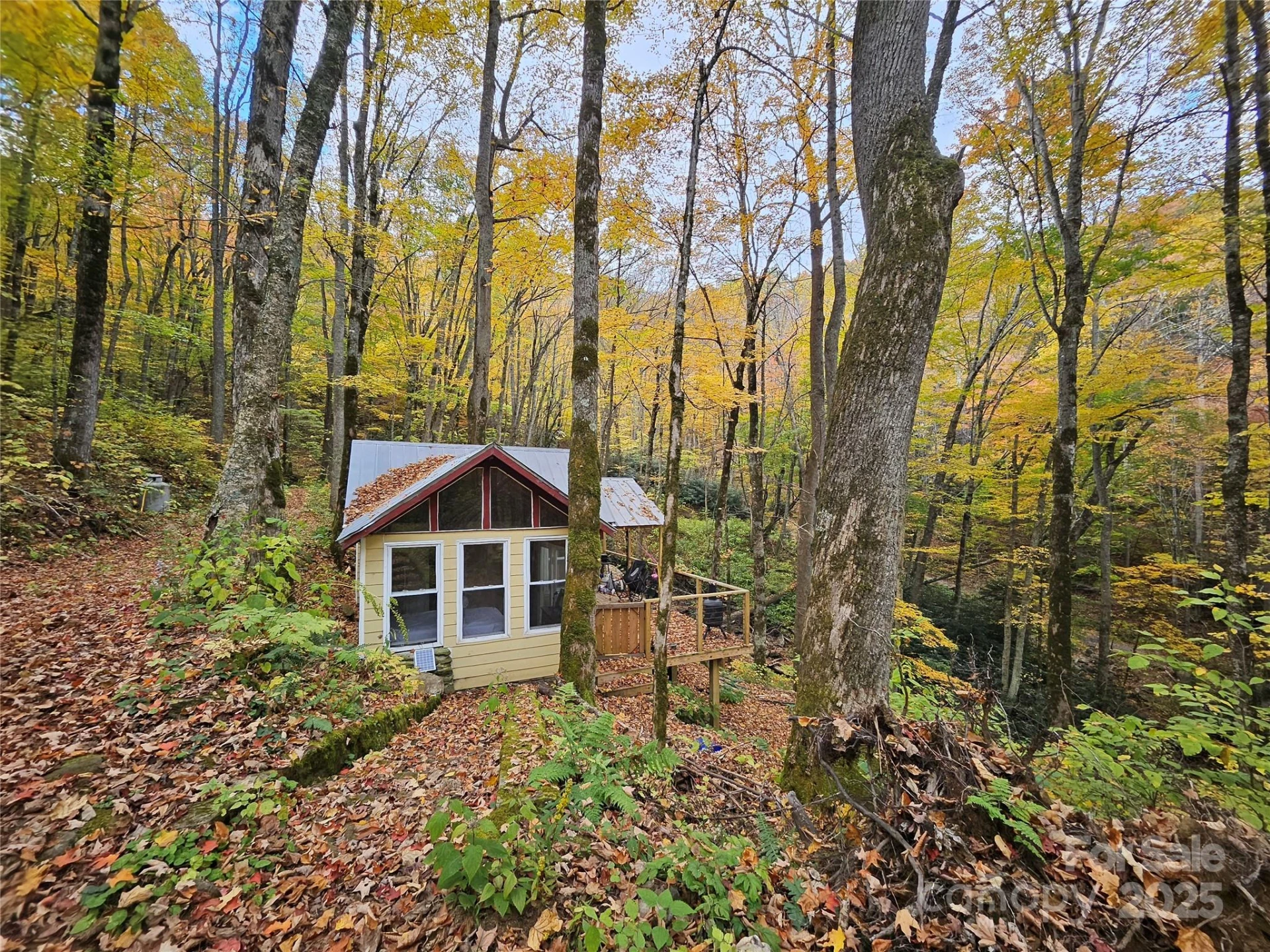 25 Hollow Log Road - Photo 5