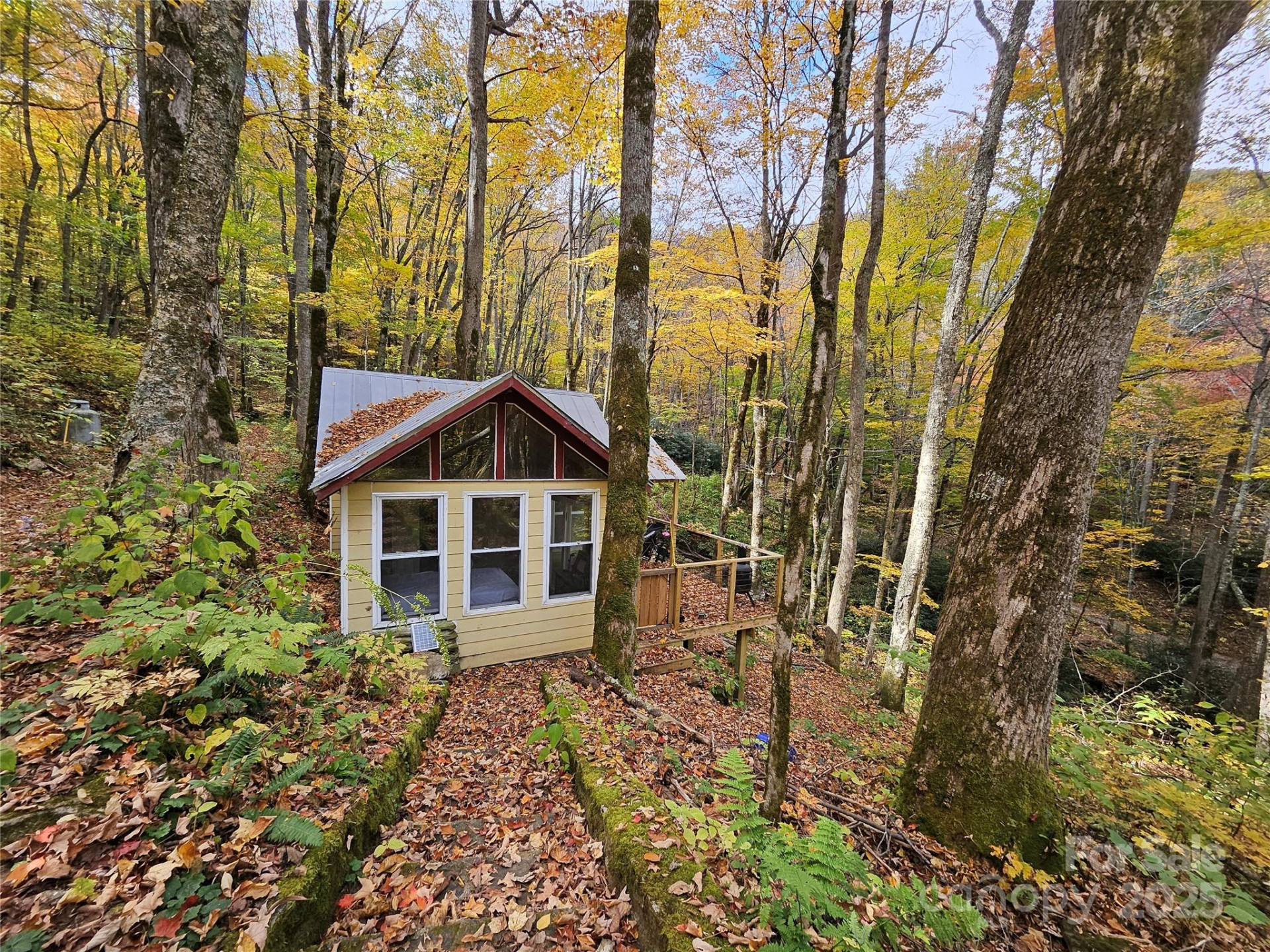 25 Hollow Log Road - Photo 6