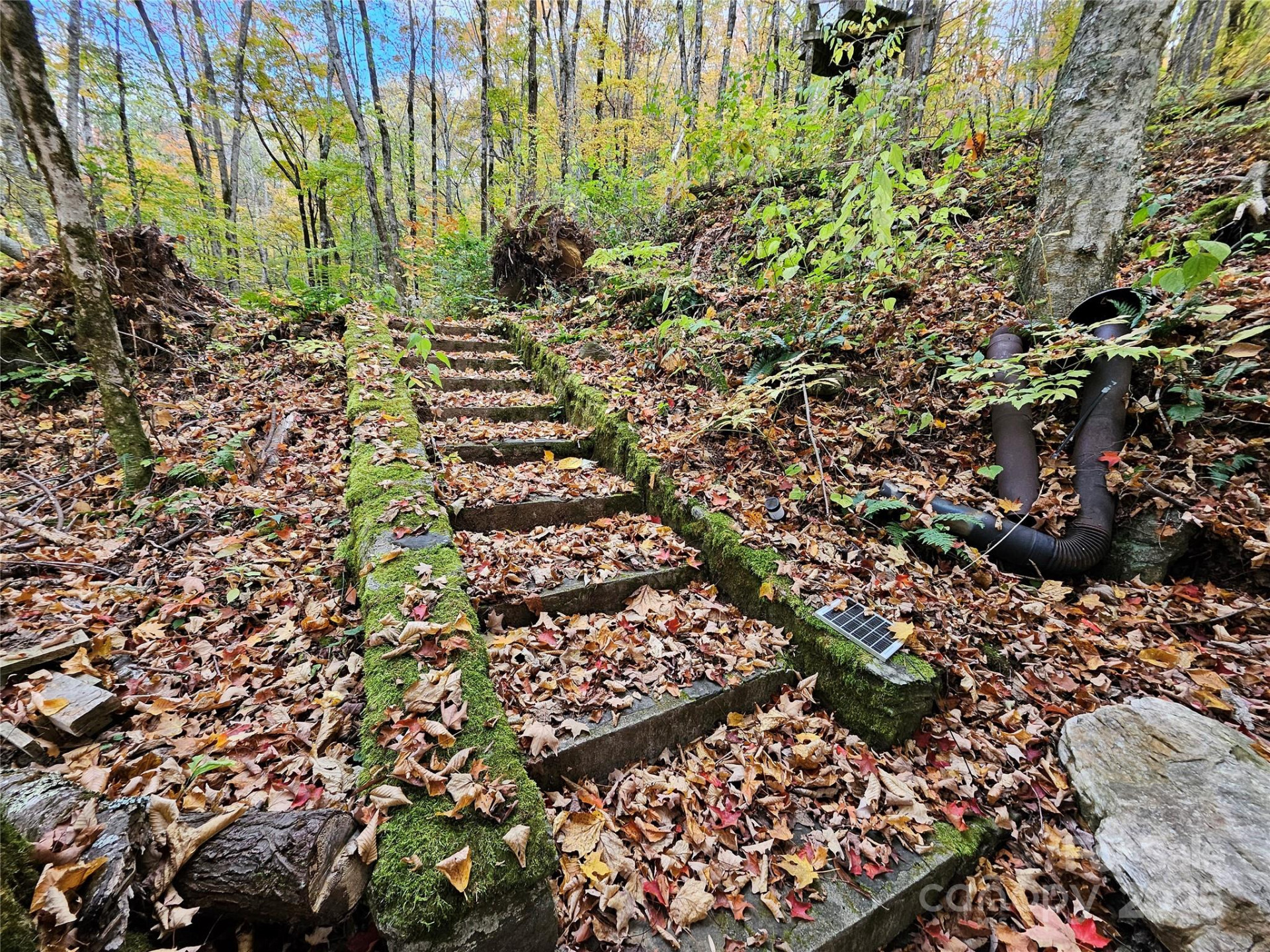 25 Hollow Log Road - Photo 7