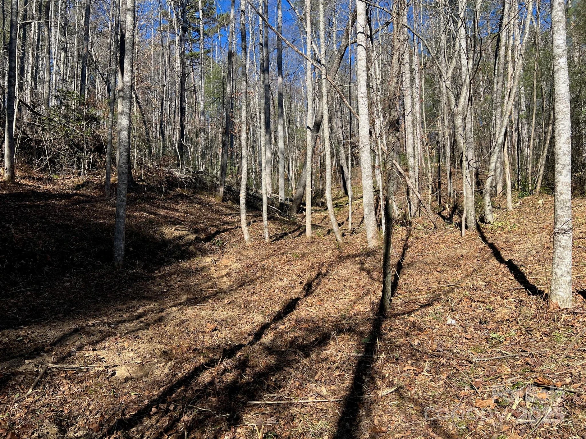 181 Falling Leaves Lane #49 - Photo 2