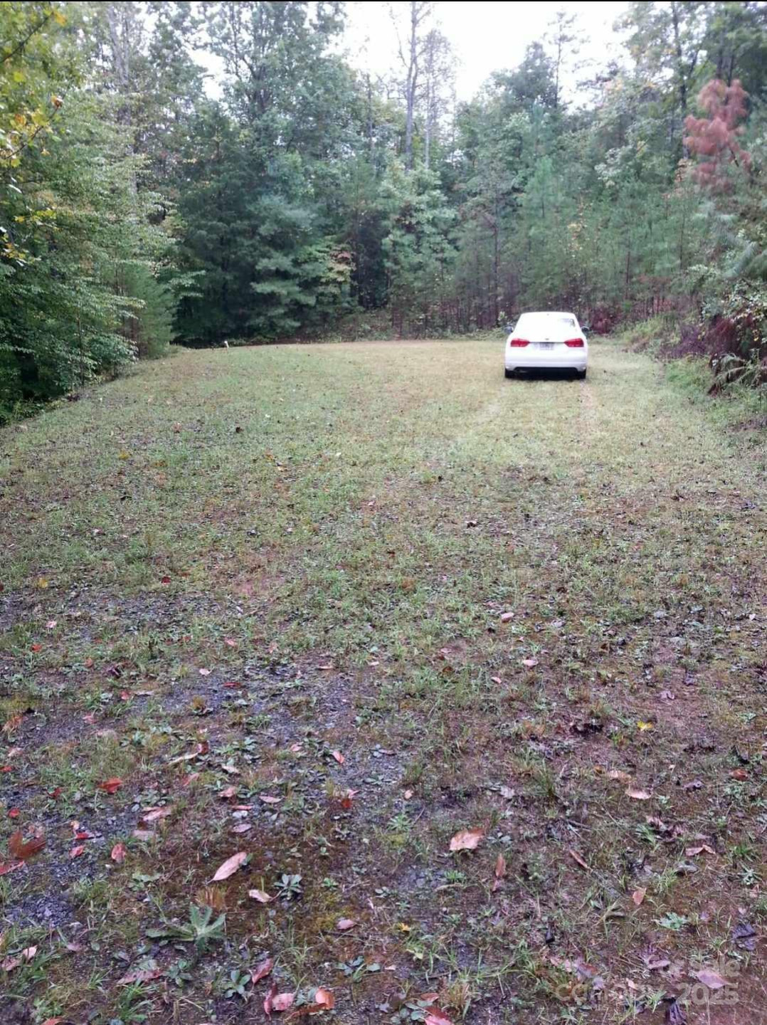 125 Big Cedar Drive #SEPTIC INSTALLED - Photo 3