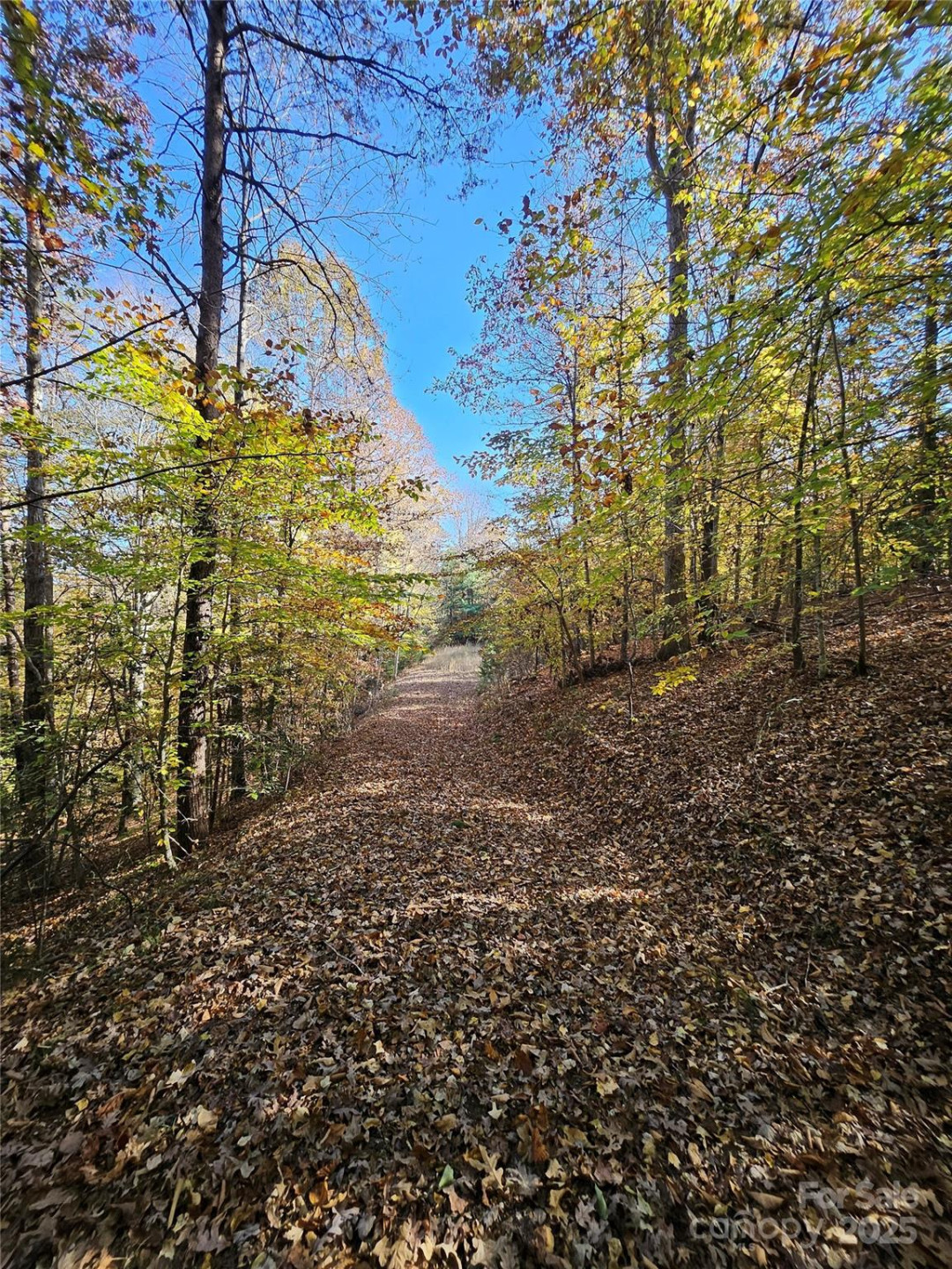 125 Big Cedar Drive #SEPTIC INSTALLED - Photo 4