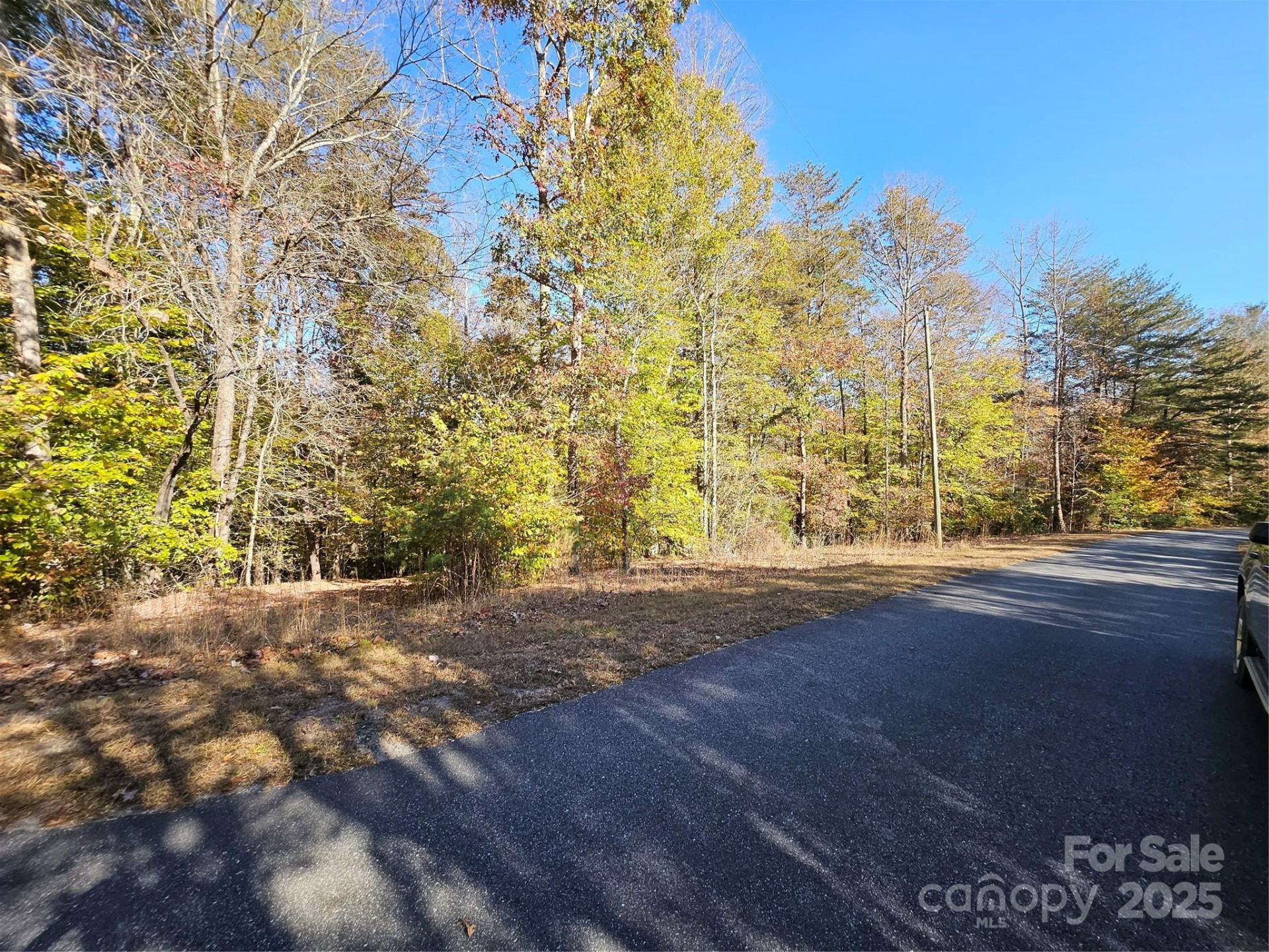 125 Big Cedar Drive #SEPTIC INSTALLED - Photo 5