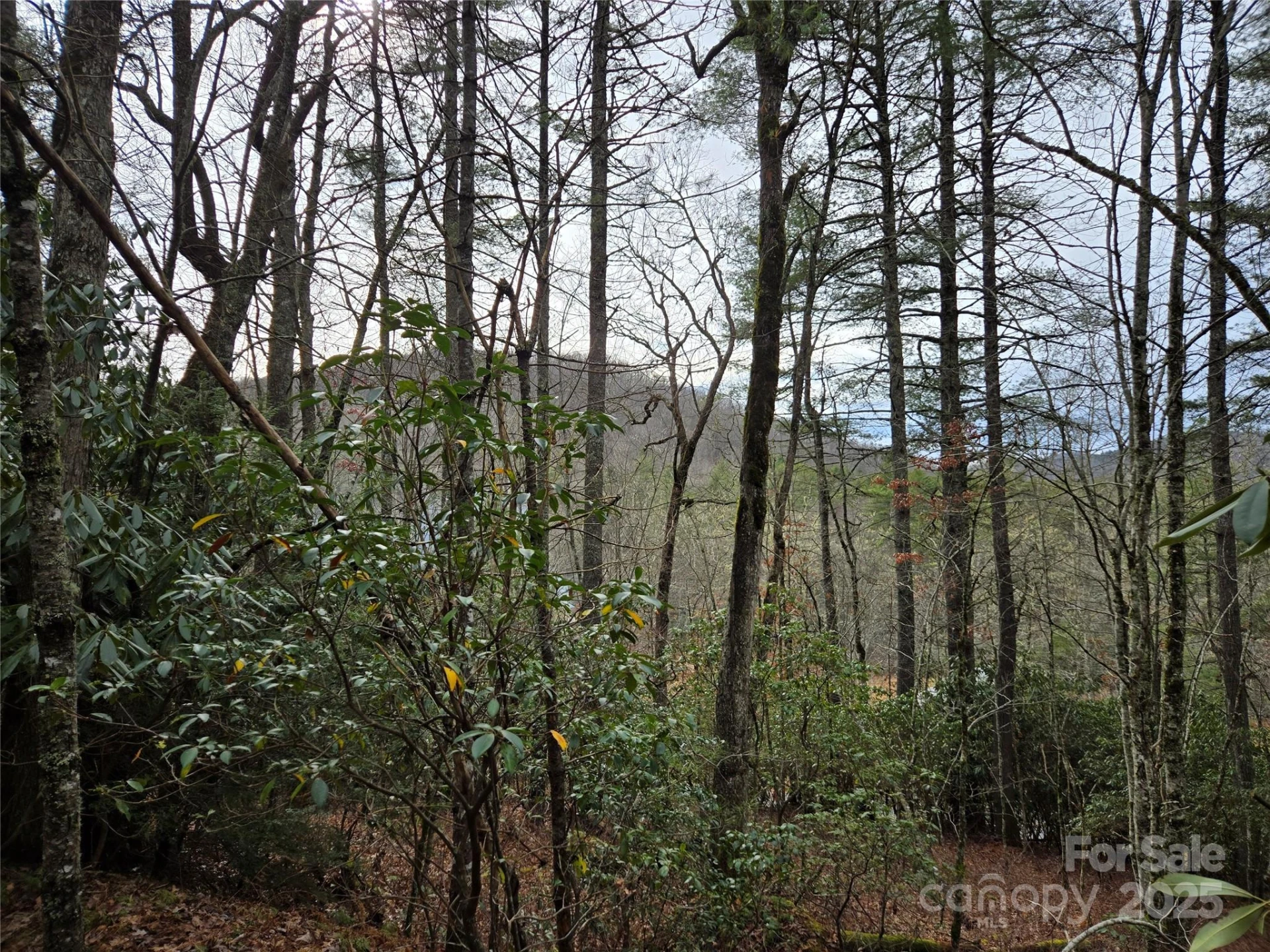  - Photo 2