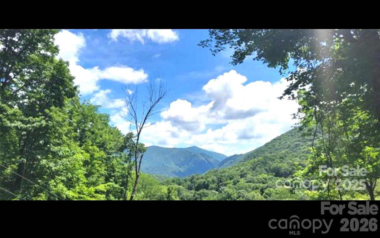 000 Wayah Zooshuga Road - Photo 4