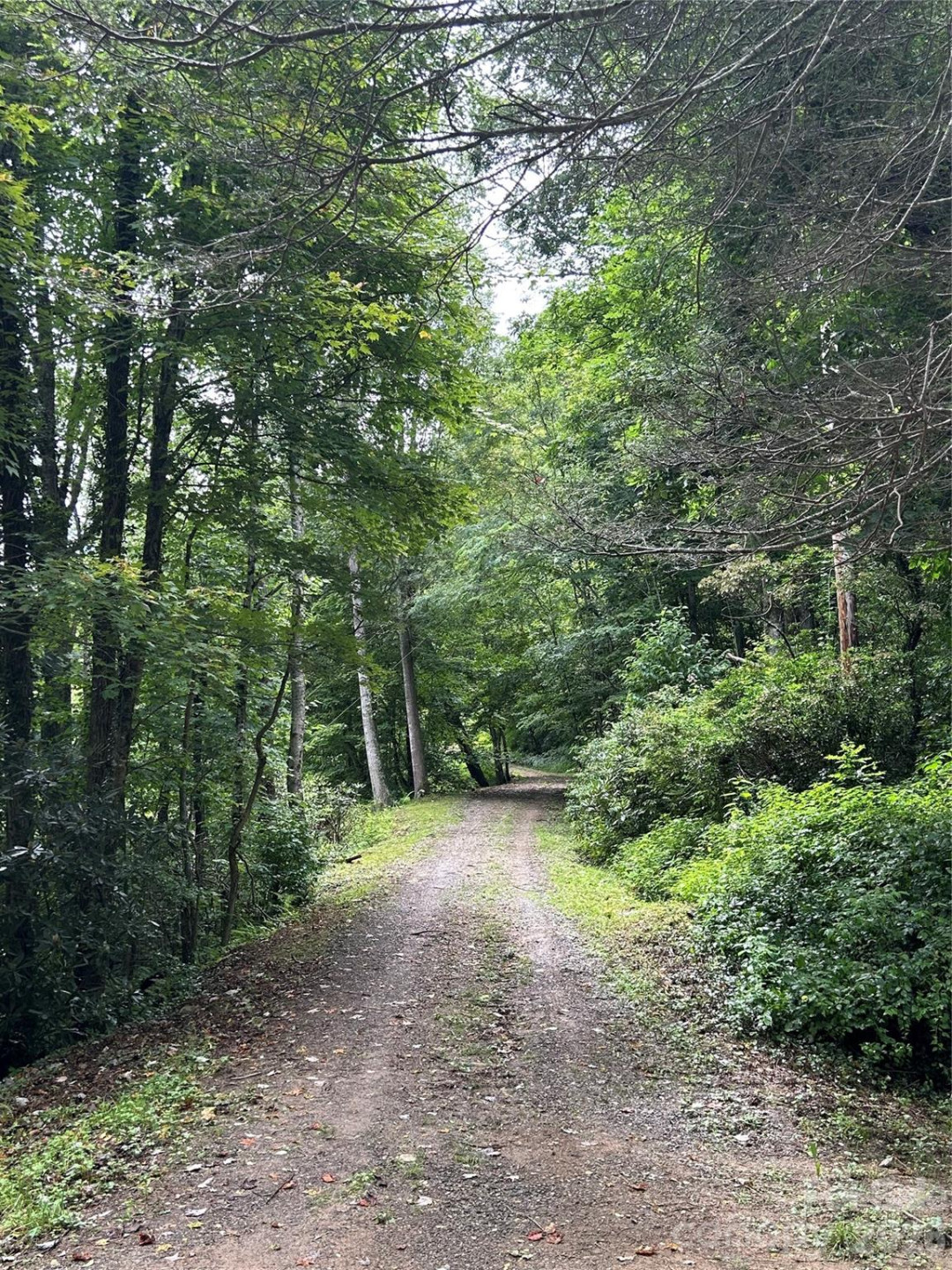 000 Wayah Zooshuga Road - Photo 5