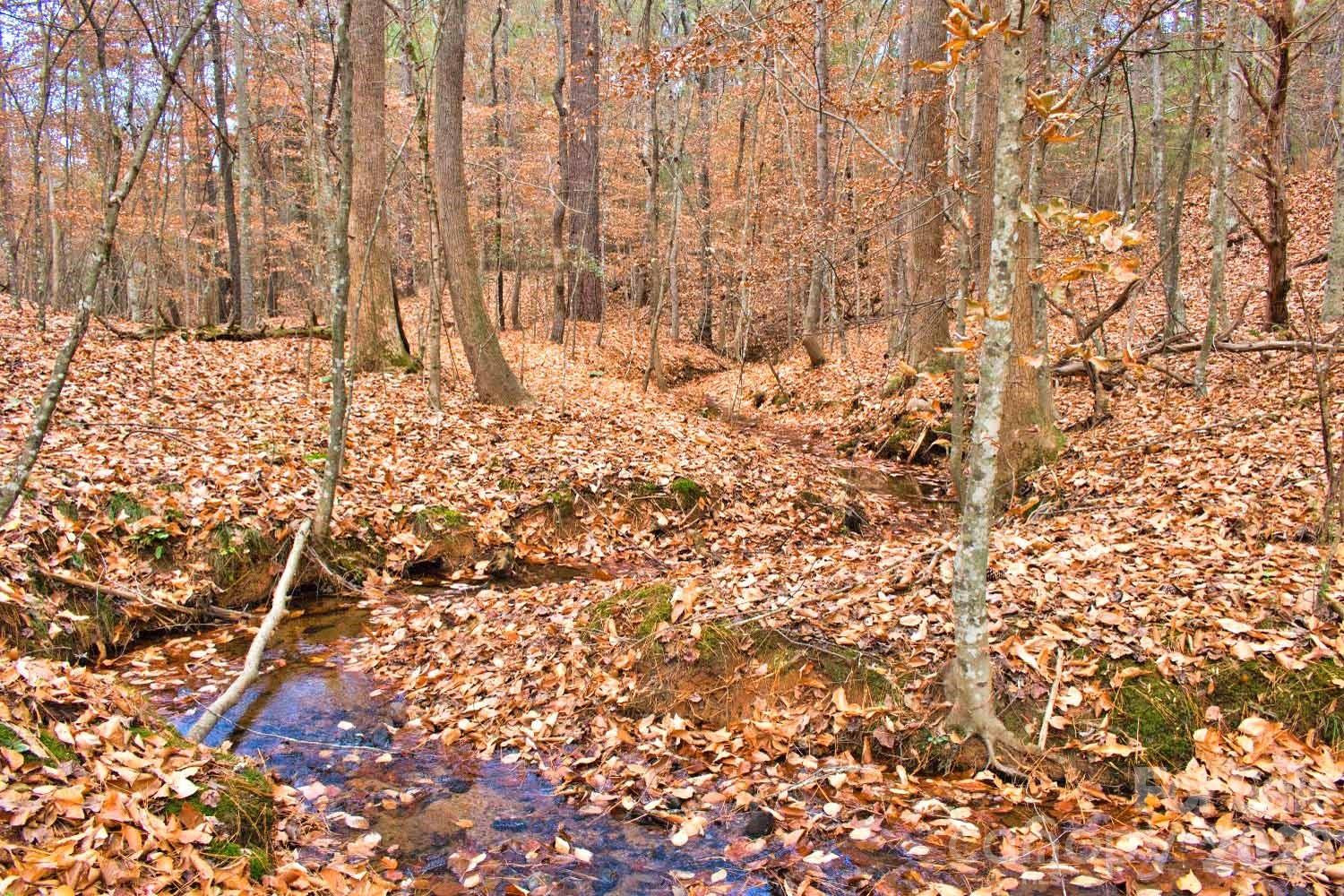 196 Moriah Drive - Photo 19