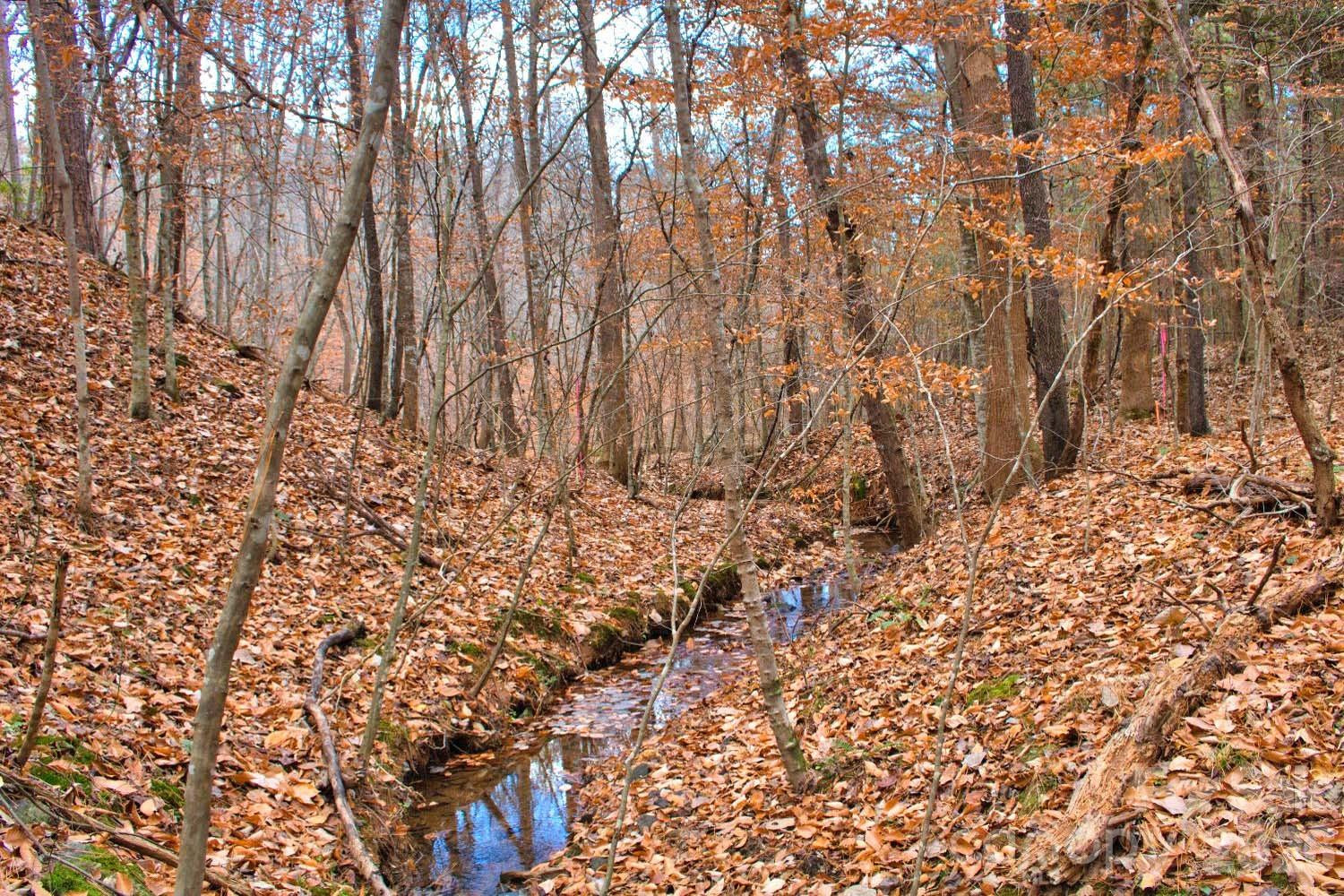 196 Moriah Drive - Photo 20