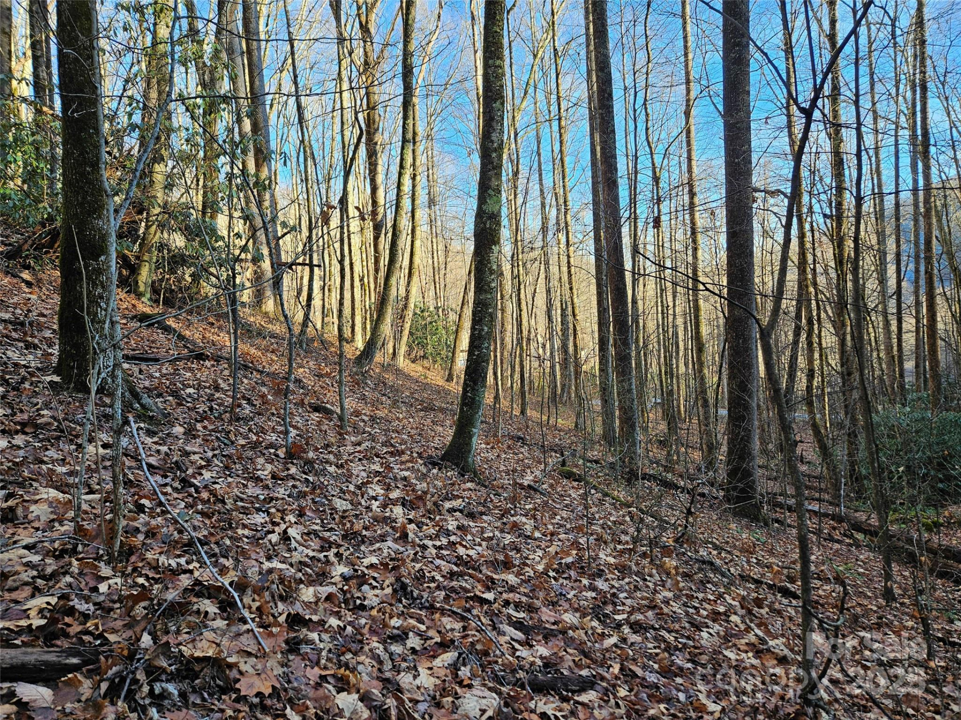 000 Serenity Drive #27 - Photo 13