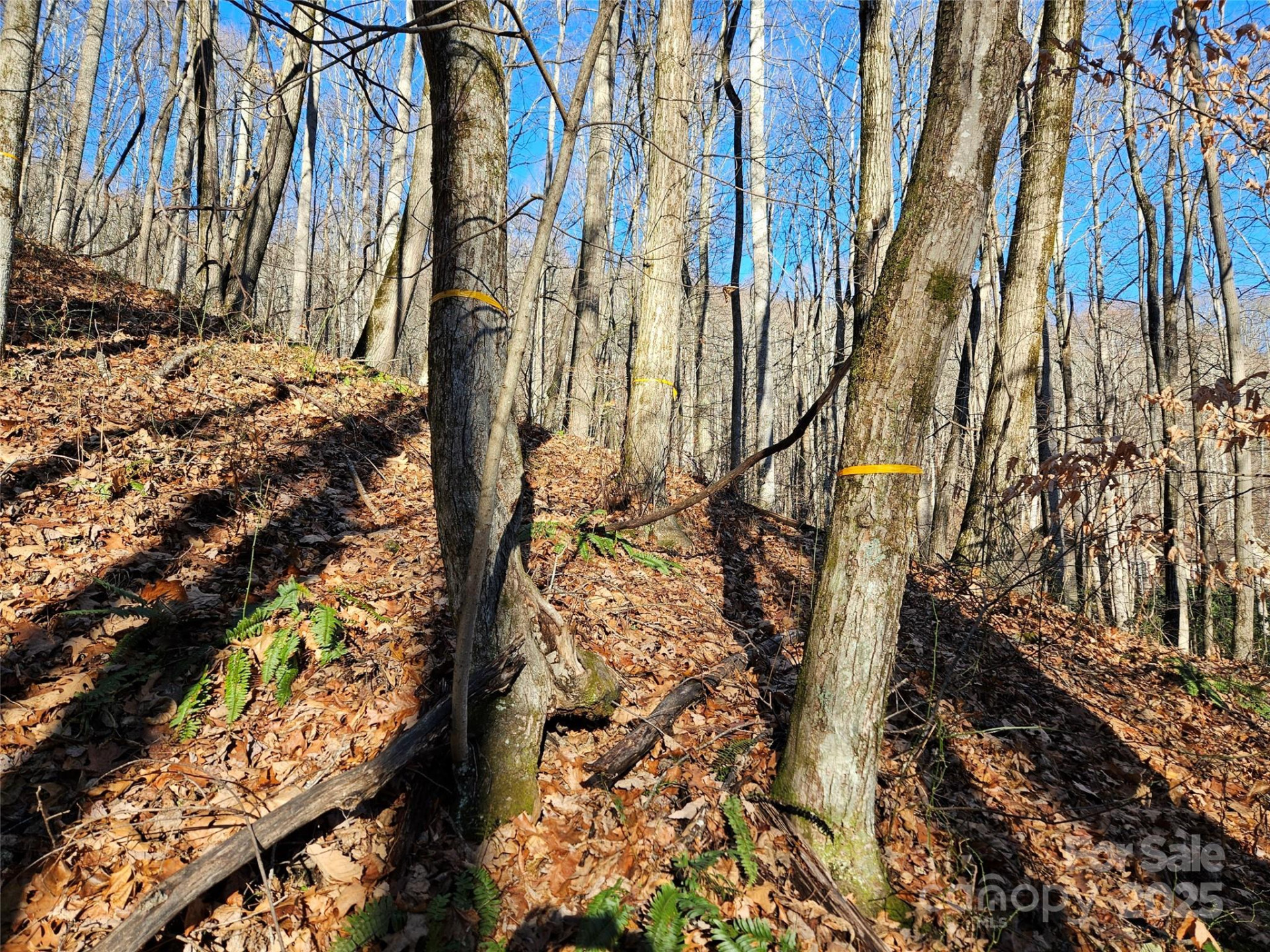 000 Serenity Drive #27 - Photo 14