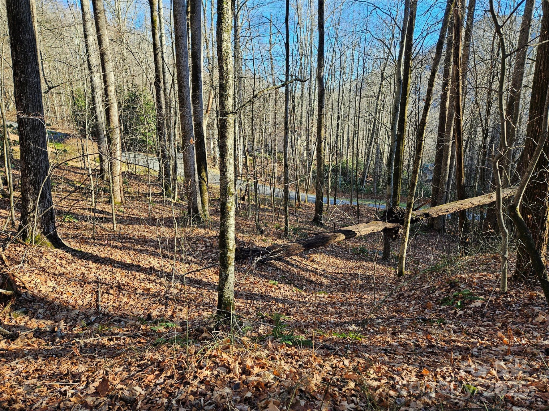 000 Serenity Drive #27 - Photo 15