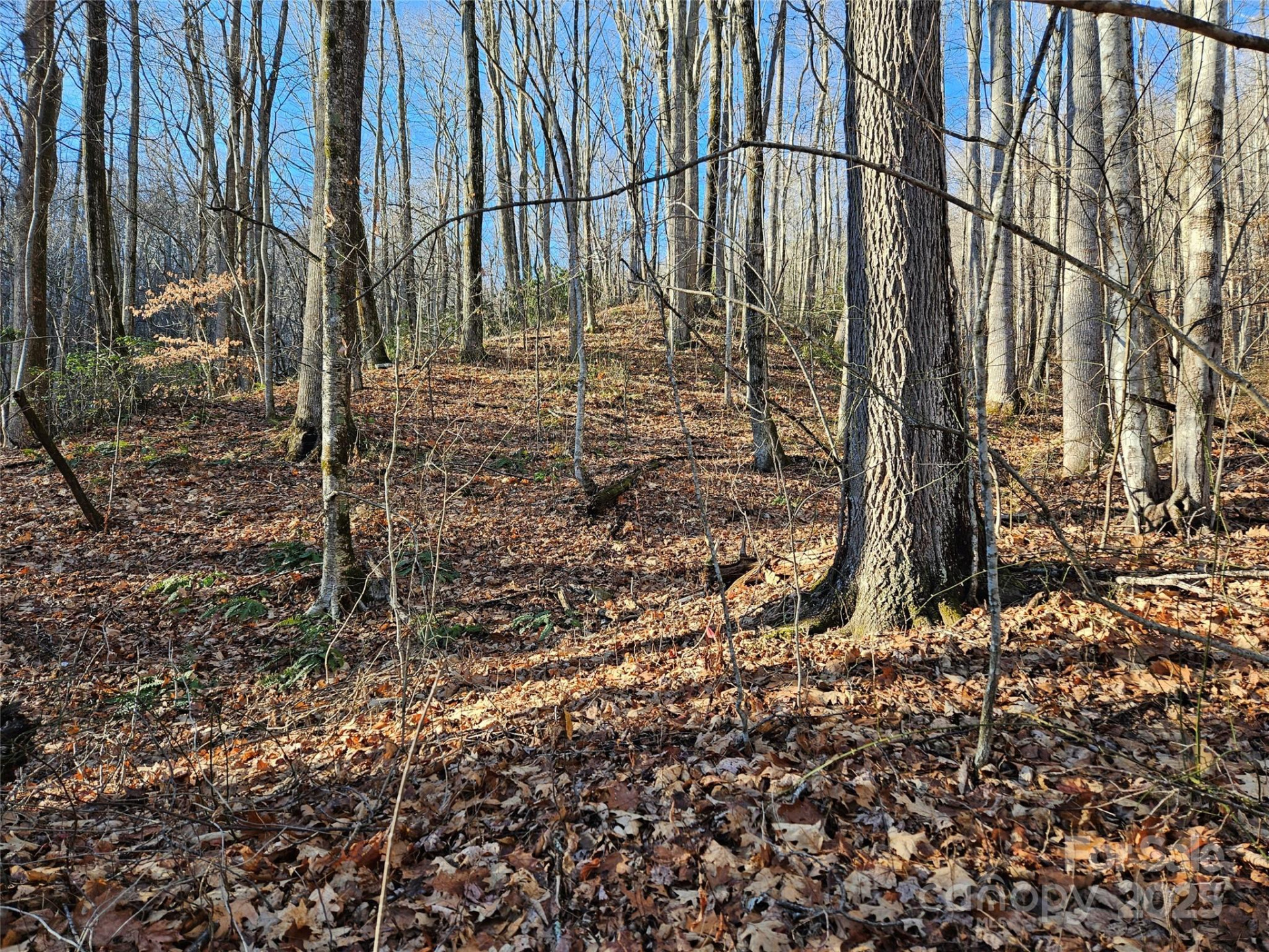 000 Serenity Drive #27 - Photo 16