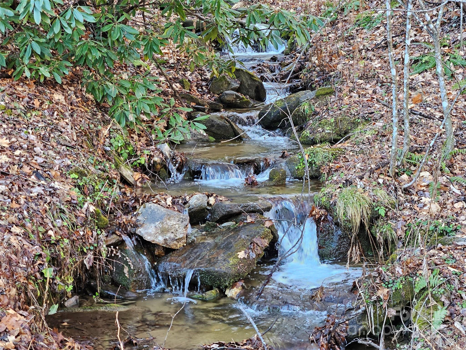 000 Serenity Drive #27 - Photo 3