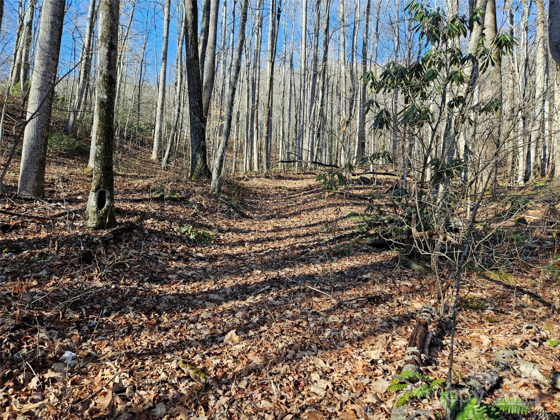 000 Serenity Drive #27 - Photo 5