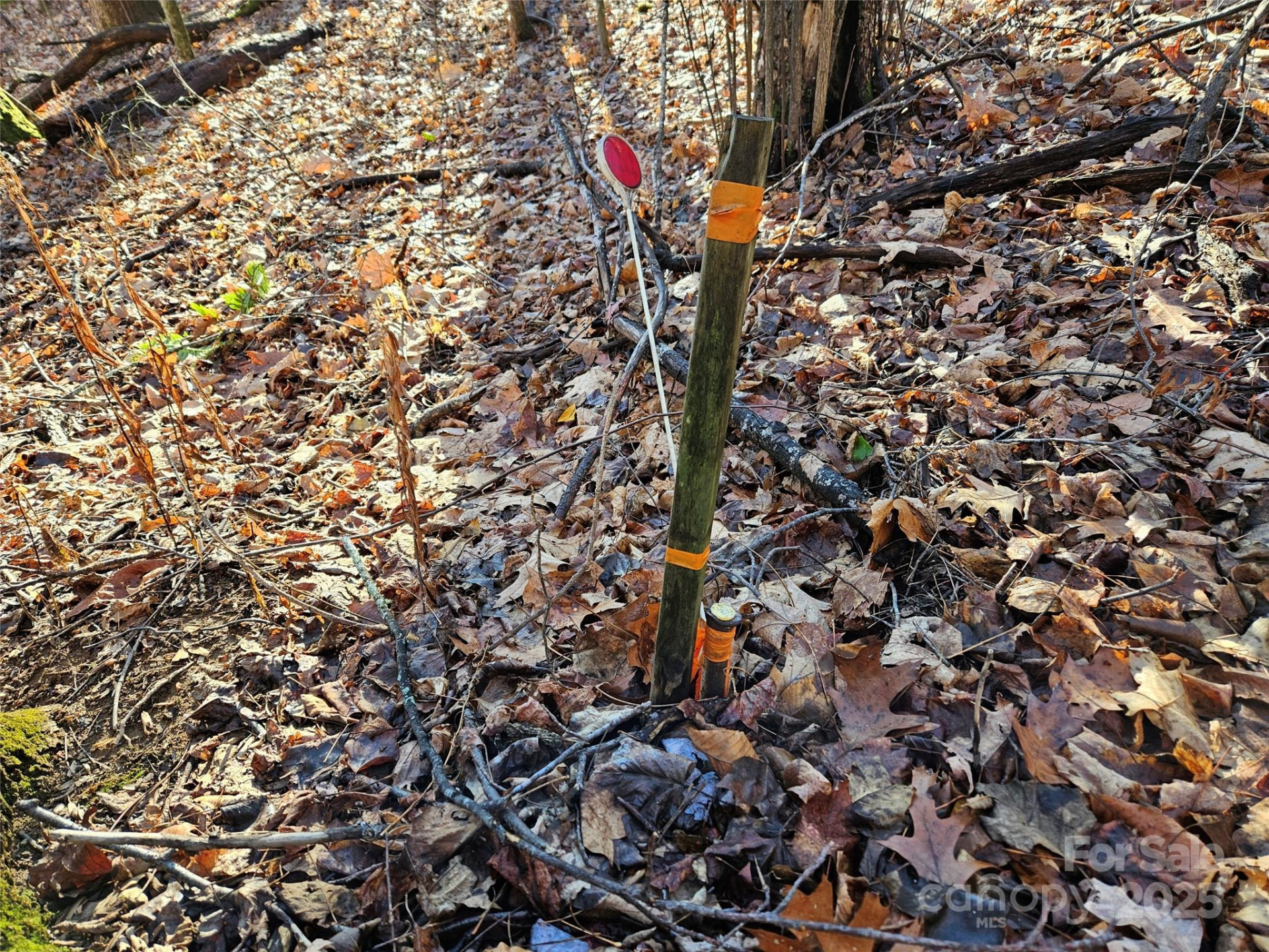 000 Serenity Drive #27 - Photo 7