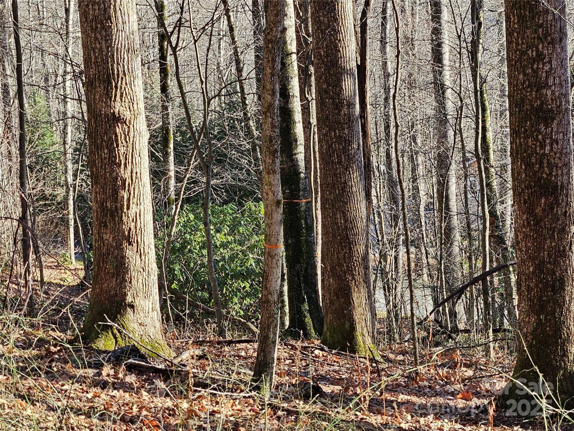 000 Serenity Drive #27 - Photo 8