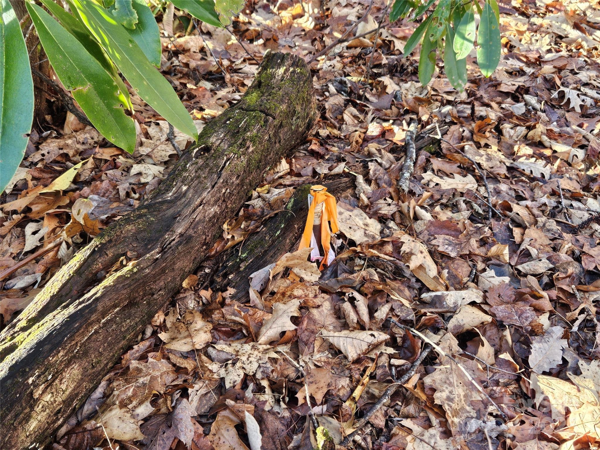 000 Serenity Drive #27 - Photo 9