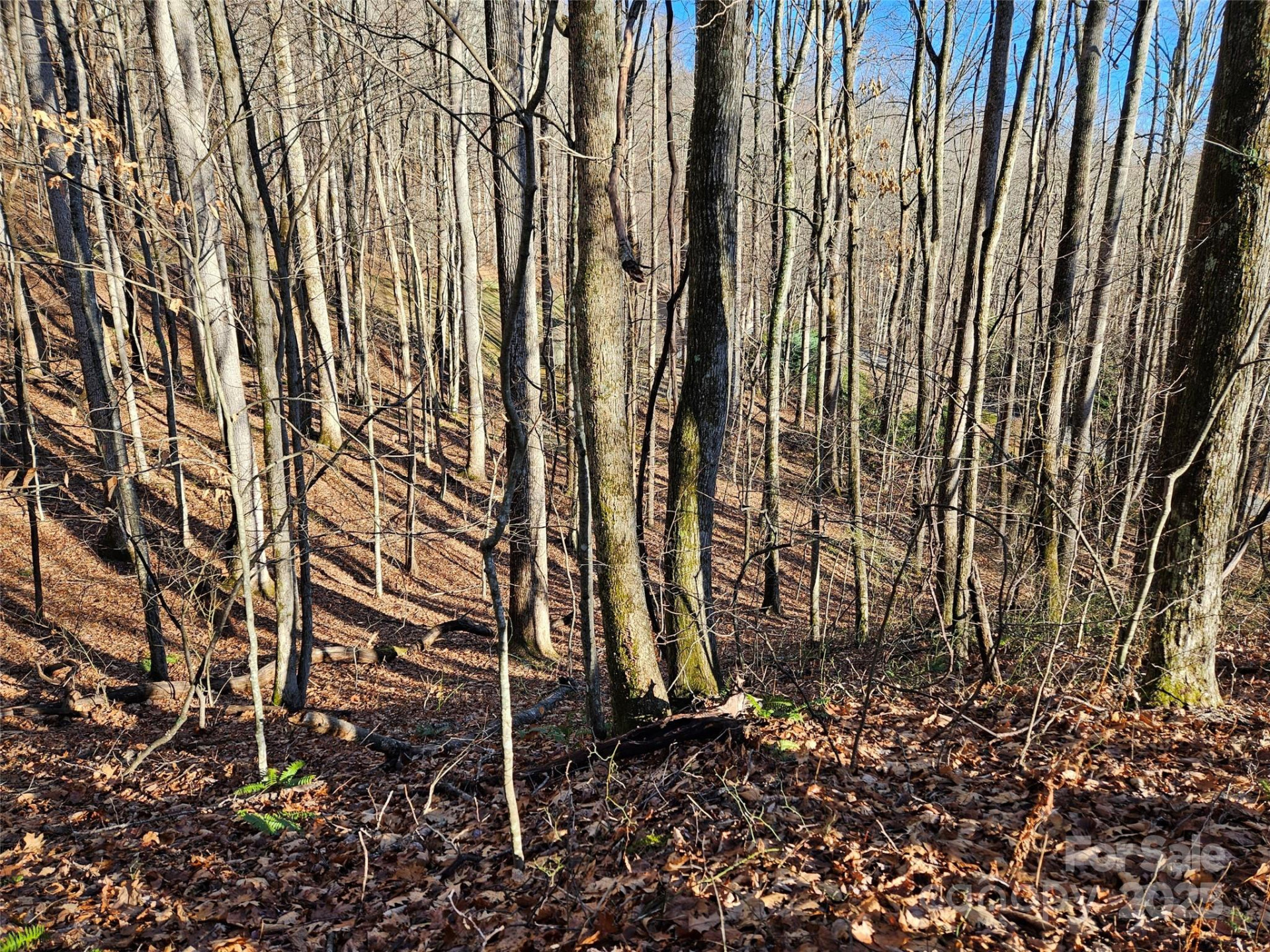 000 Serenity Drive #27 - Photo 10