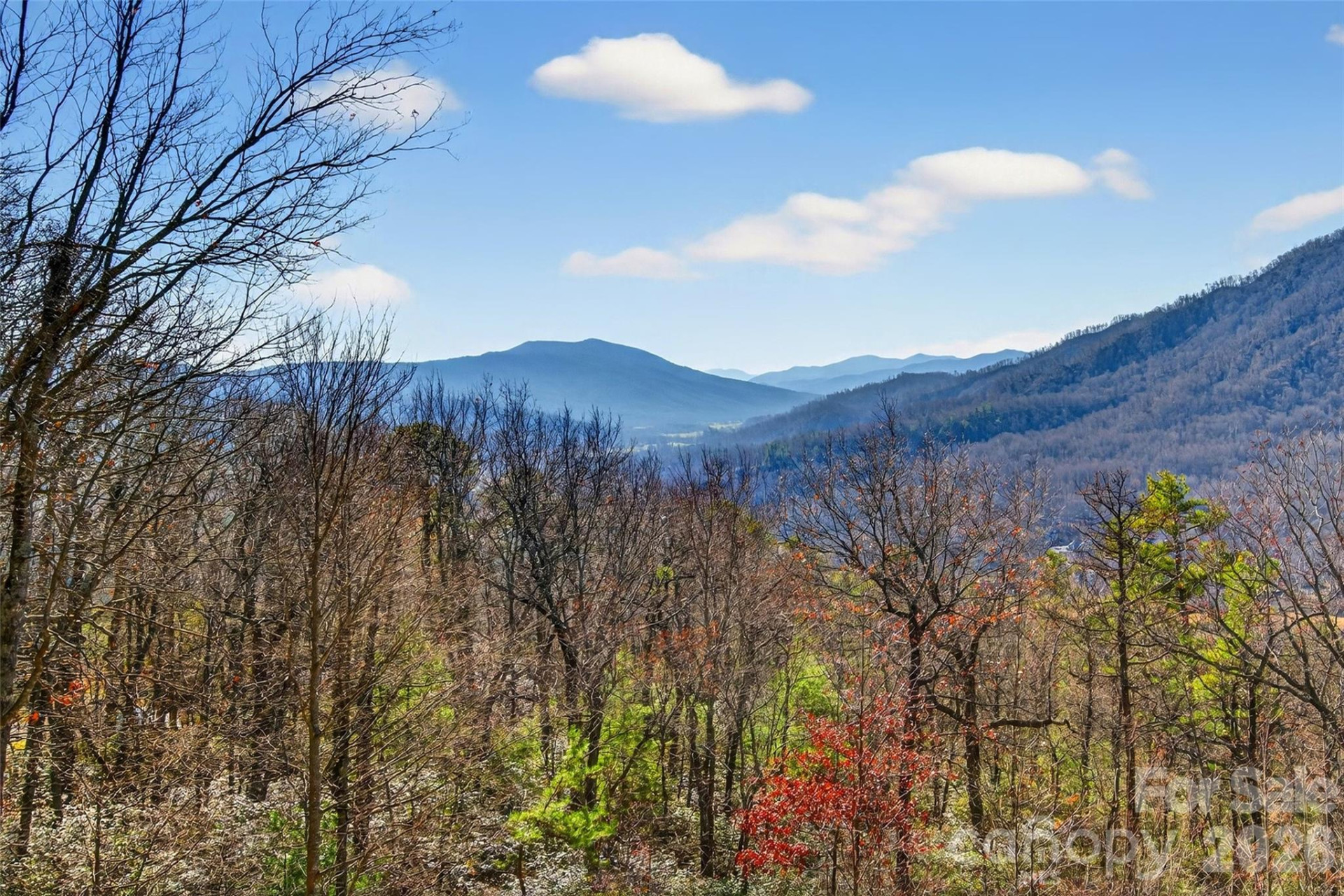 1909 Linville Drive - Photo 10