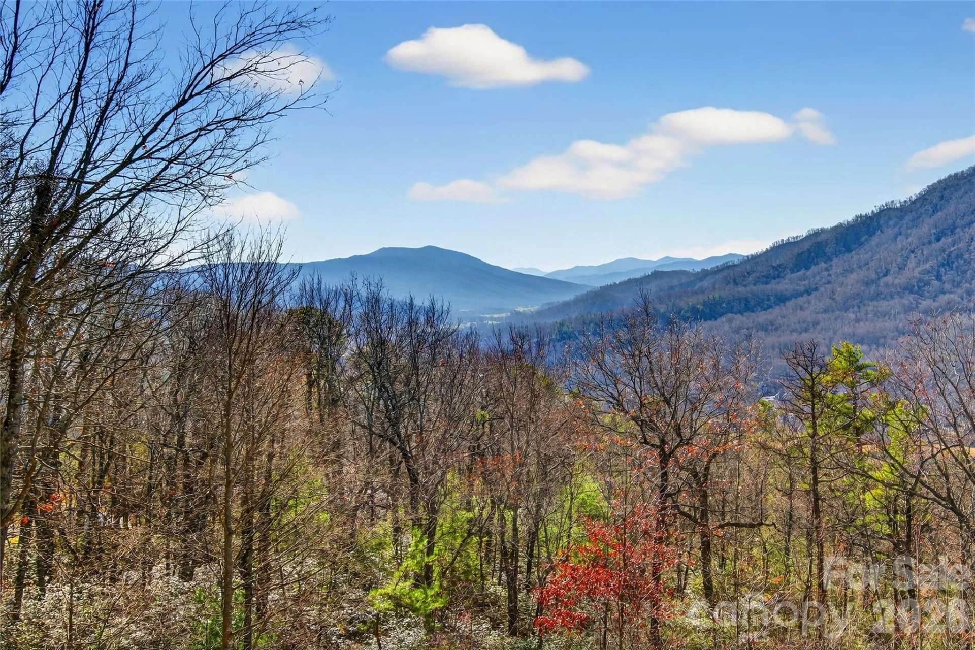 1909 Linville Drive - Photo 10