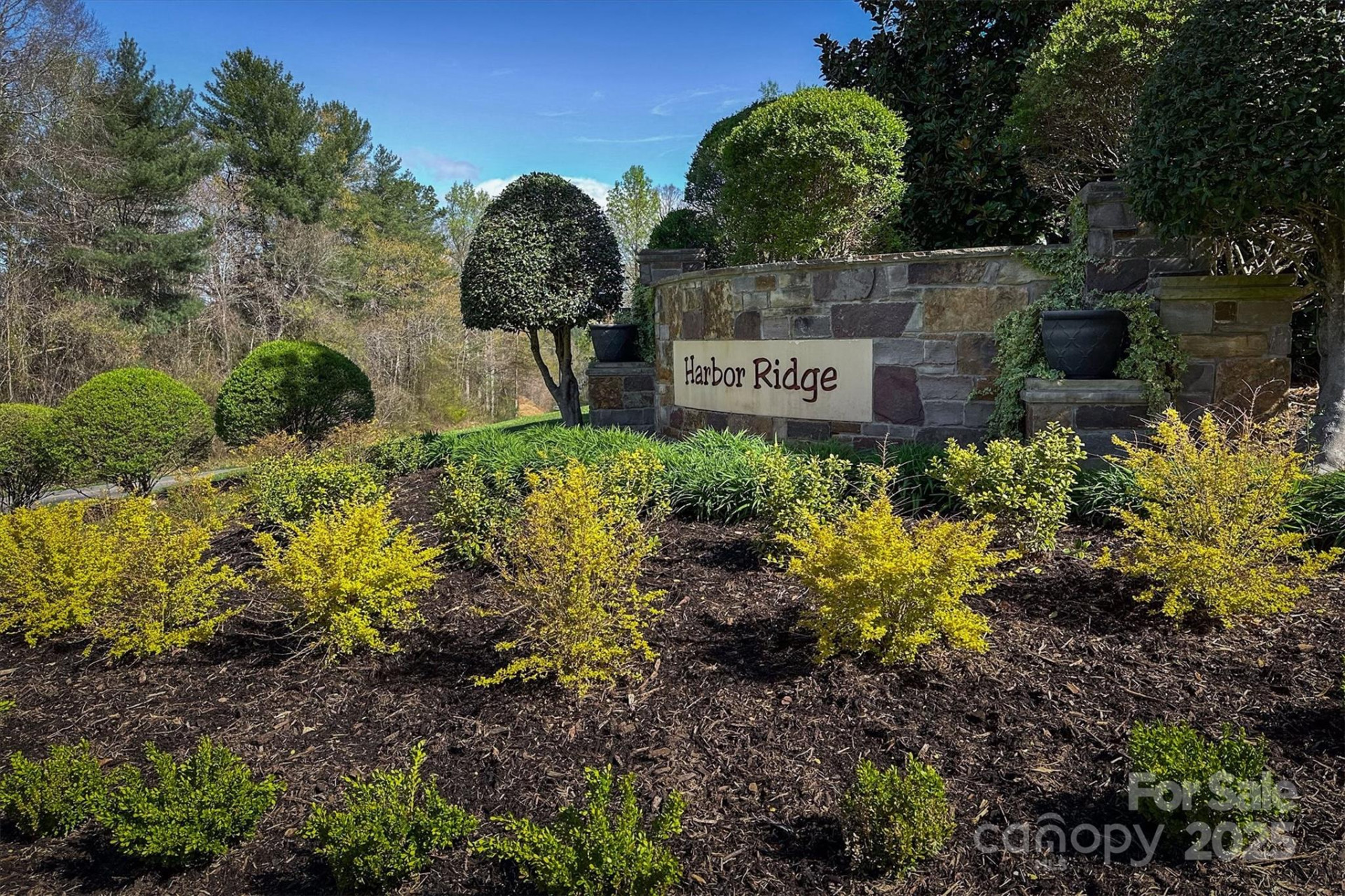 212 Harbor Ridge Drive - Photo 6