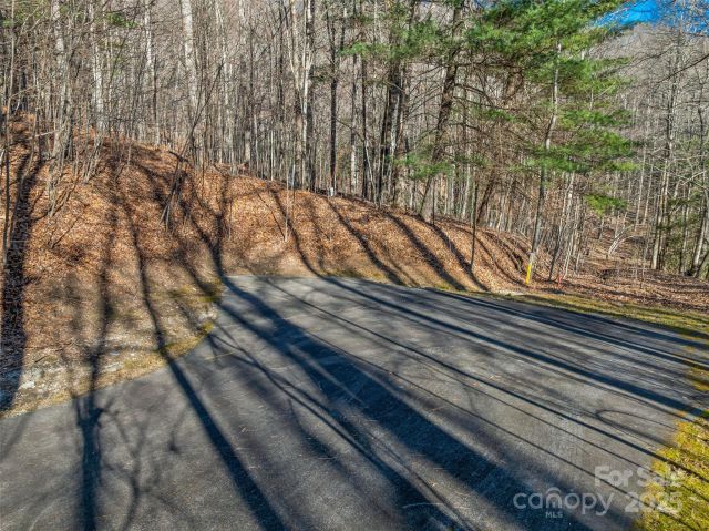 TBD Ladys Fern Trail