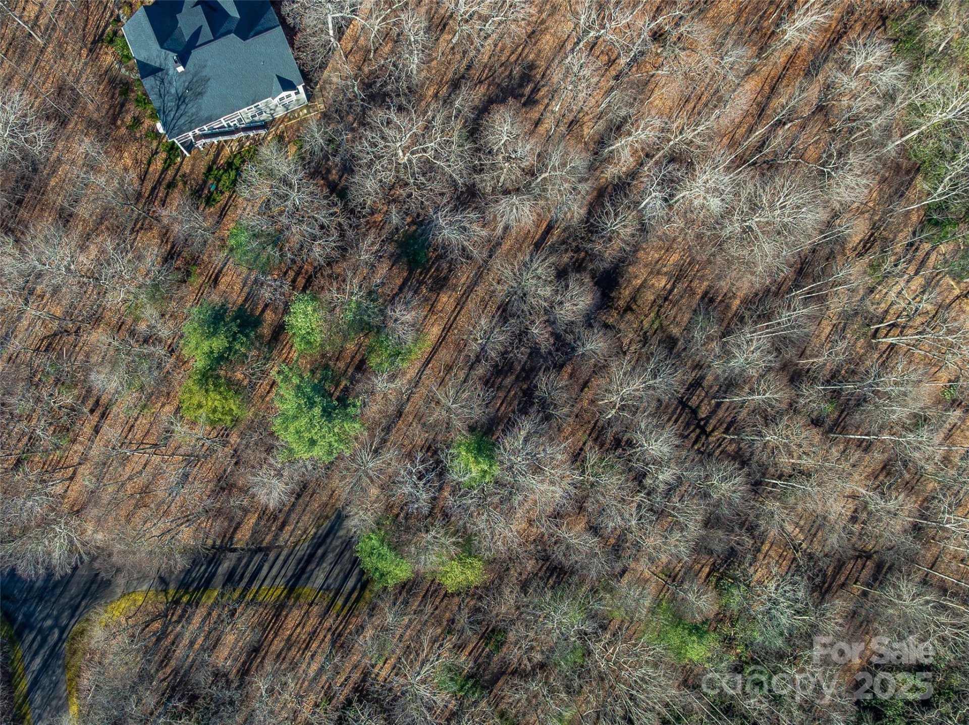 TBD Ladys Fern Trail #10 - Photo 2
