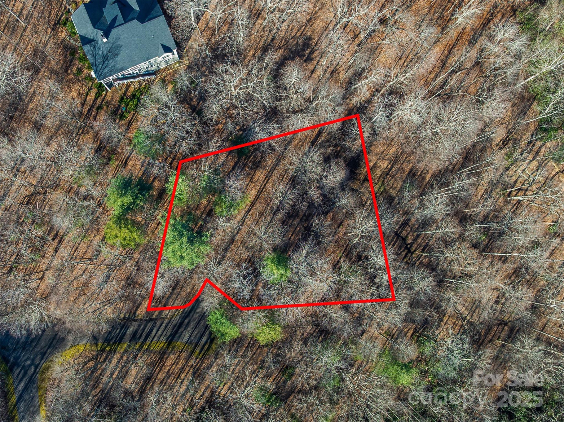 TBD Ladys Fern Trail #10 - Photo 3