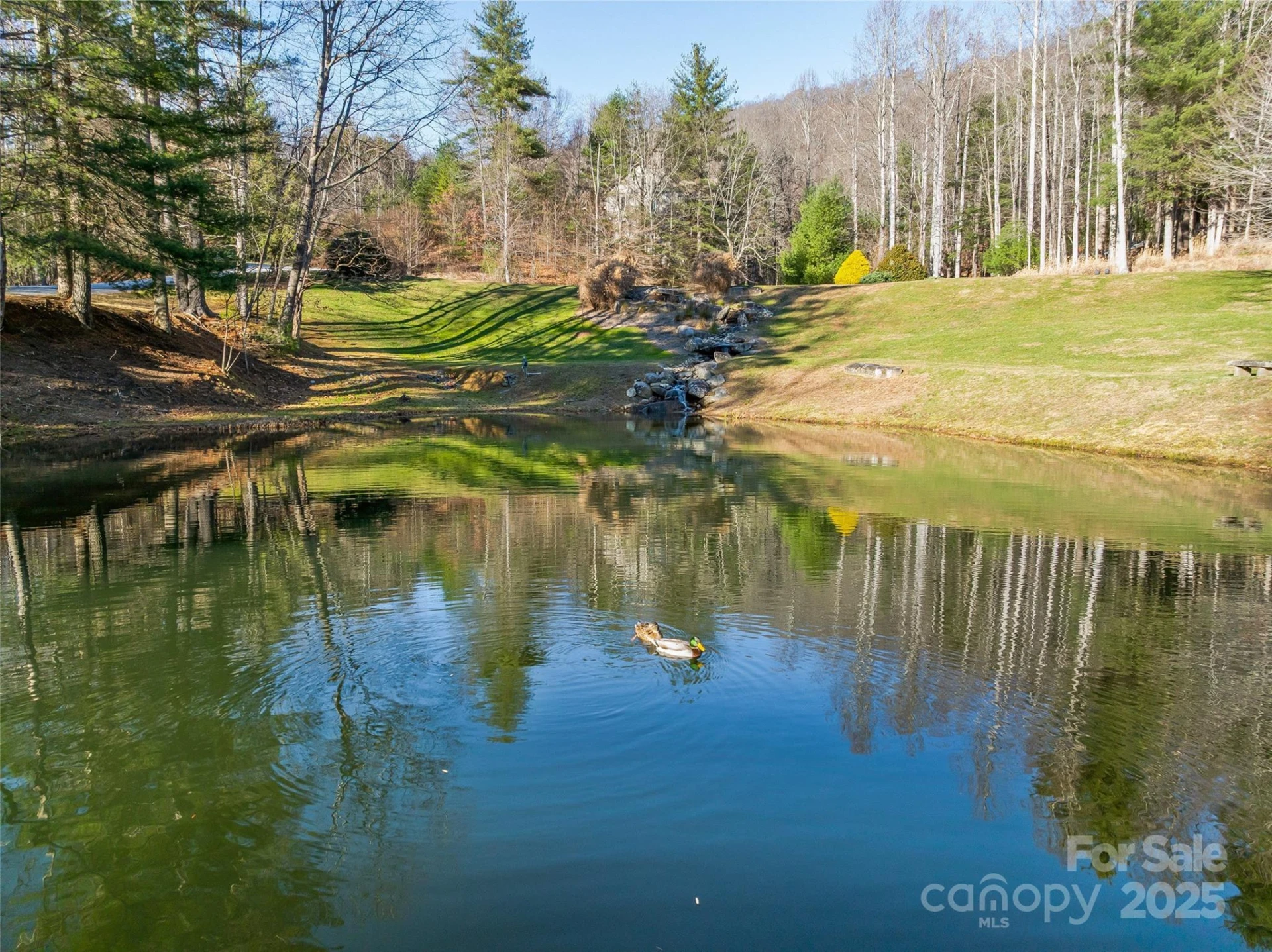 TBD Ladys Fern Trail #10 - Photo 27